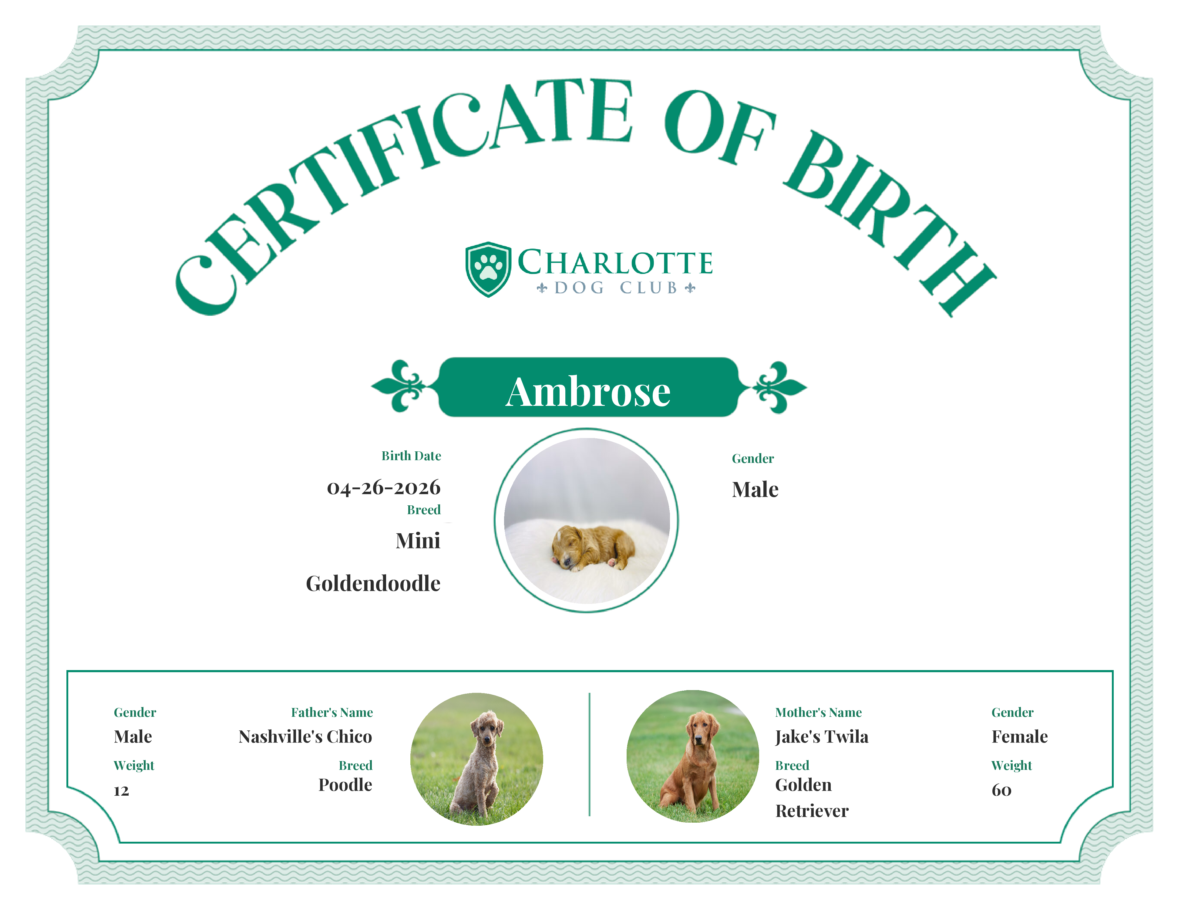 Ambrose's Birth Certificate