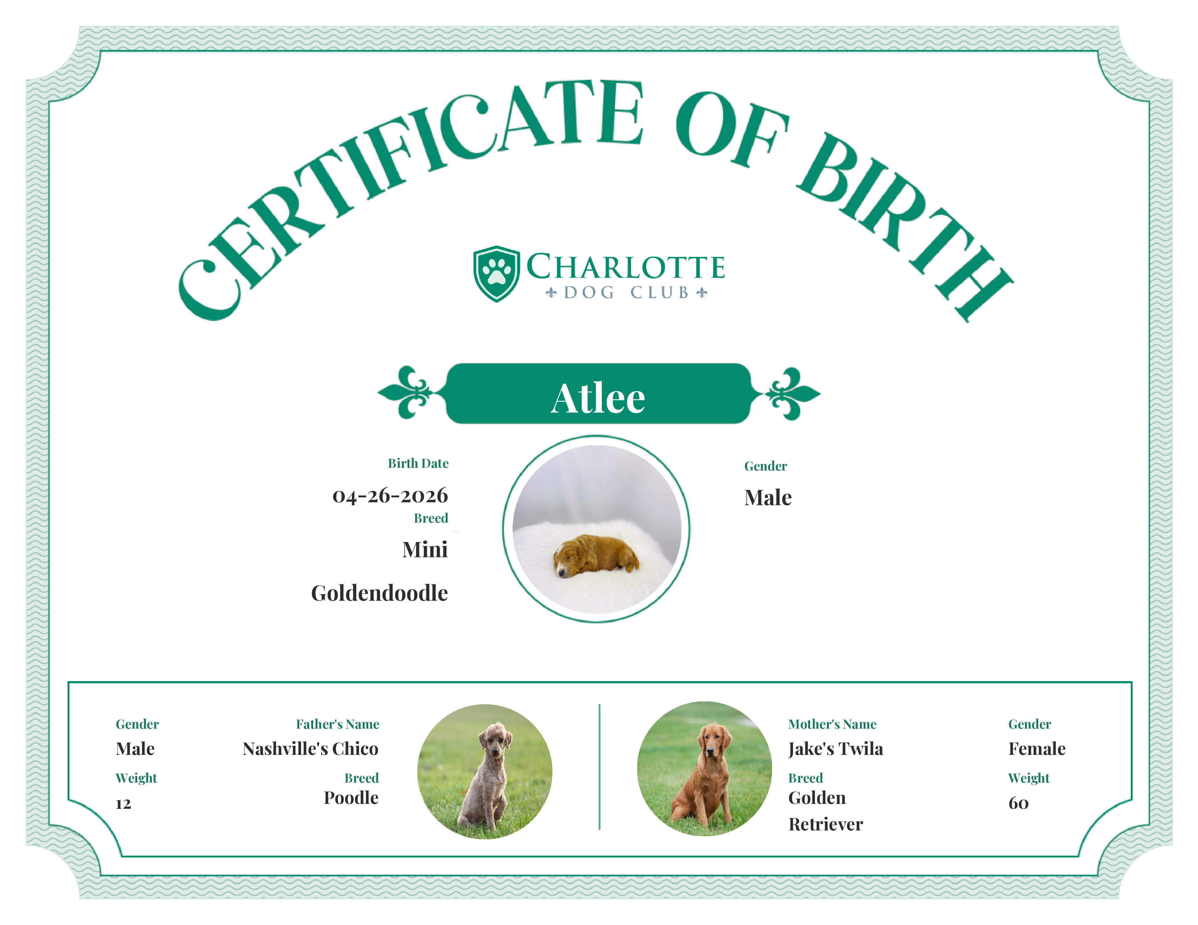 Atlee's Birth Certificate