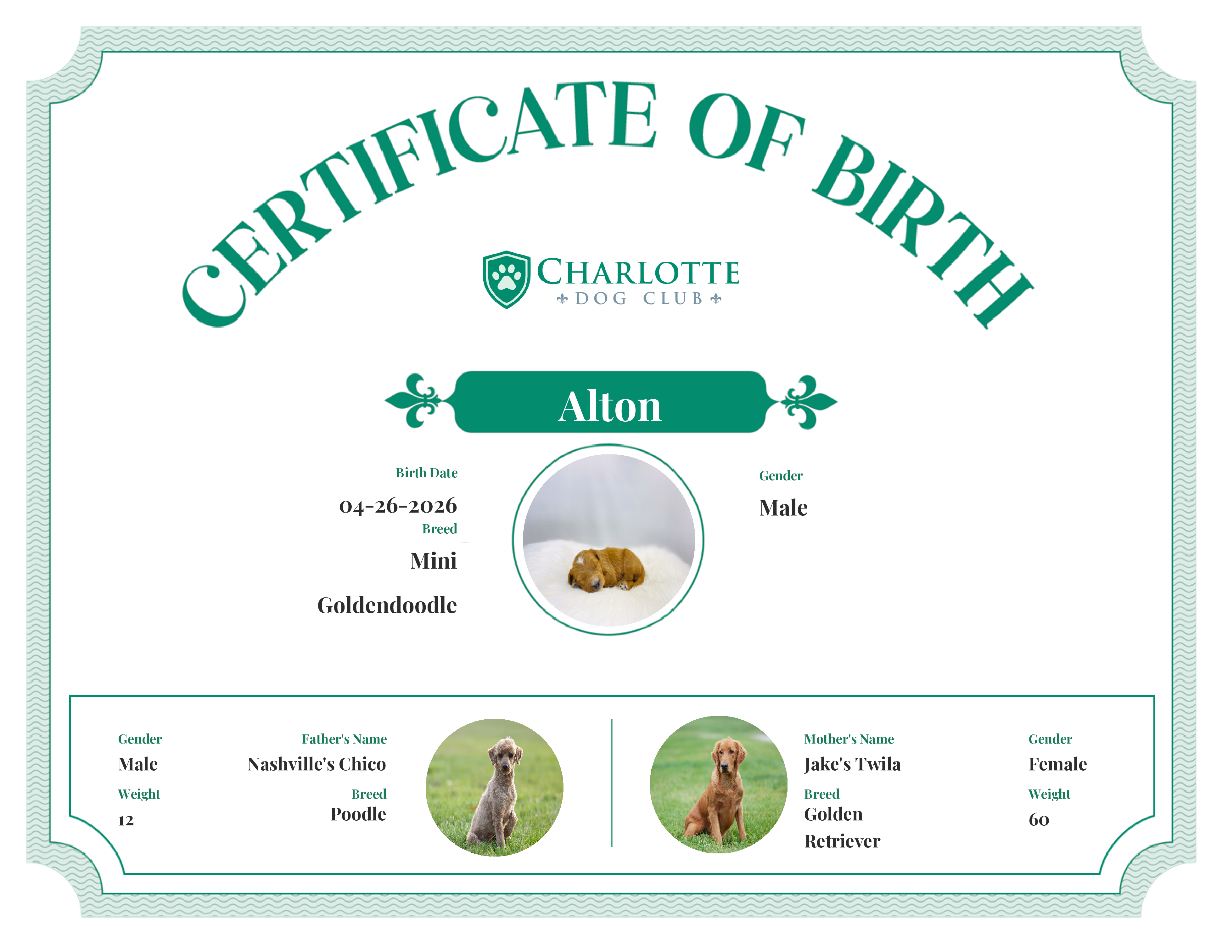 Alton's Birth Certificate