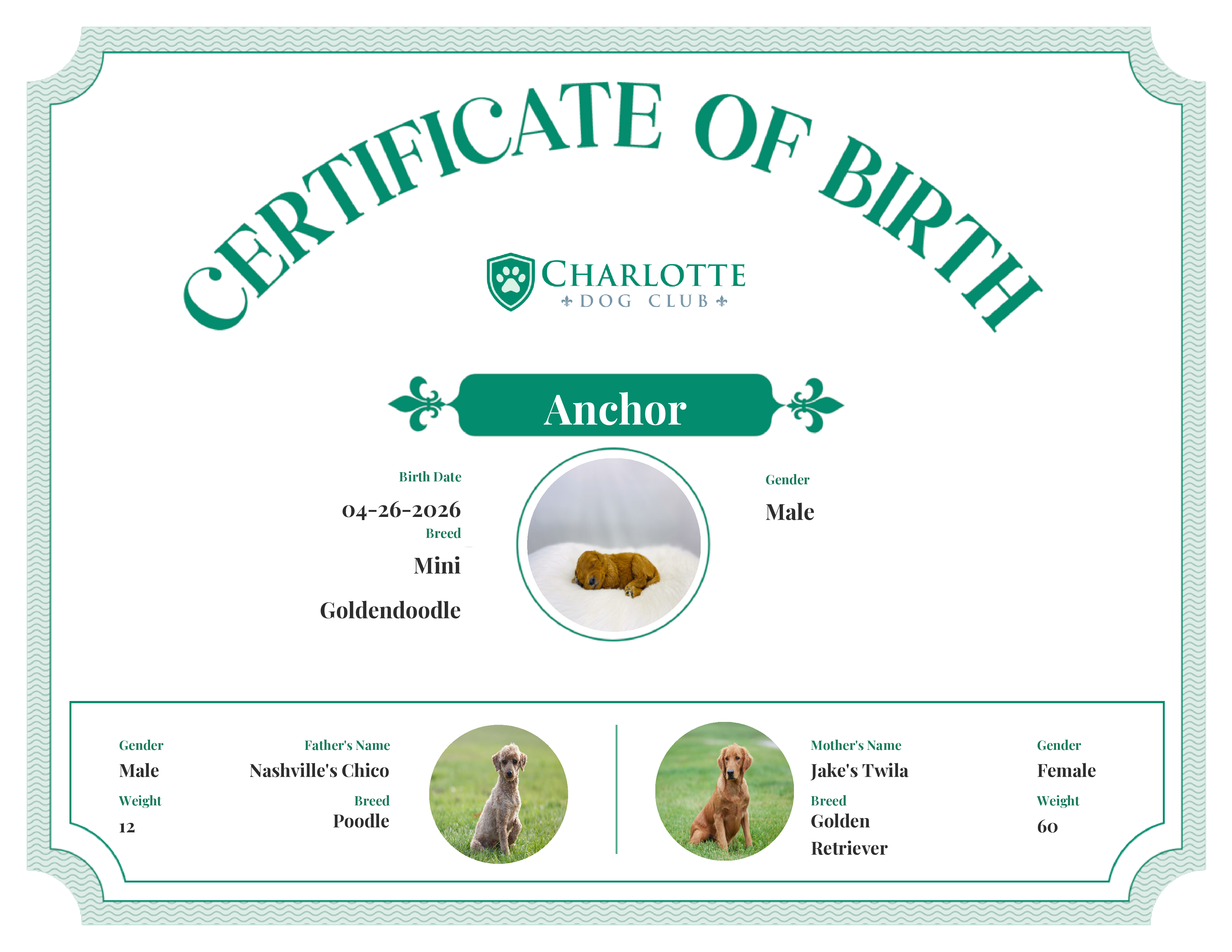 Anchor's Birth Certificate