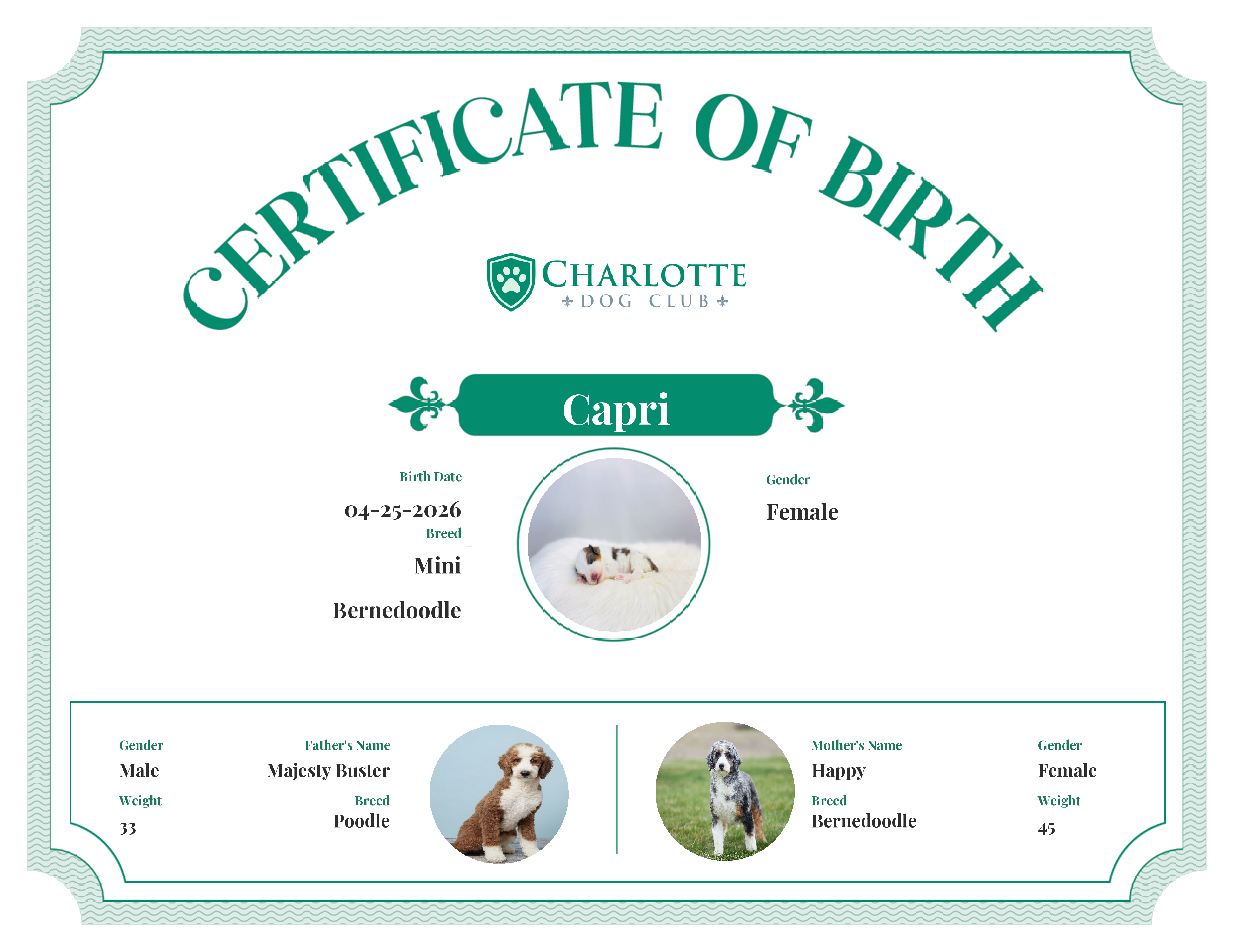 Capri's Birth Certificate