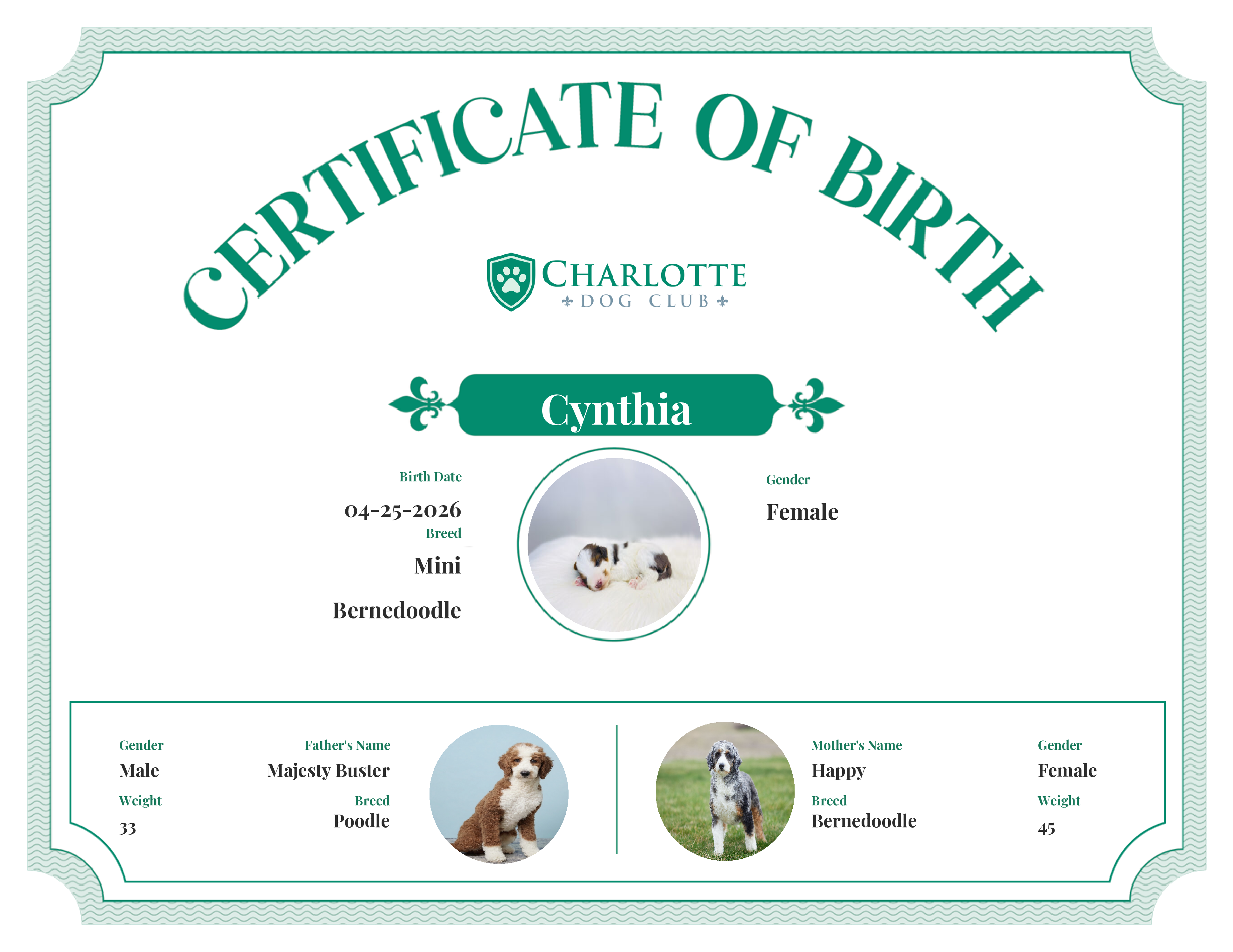 Cynthia's Birth Certificate