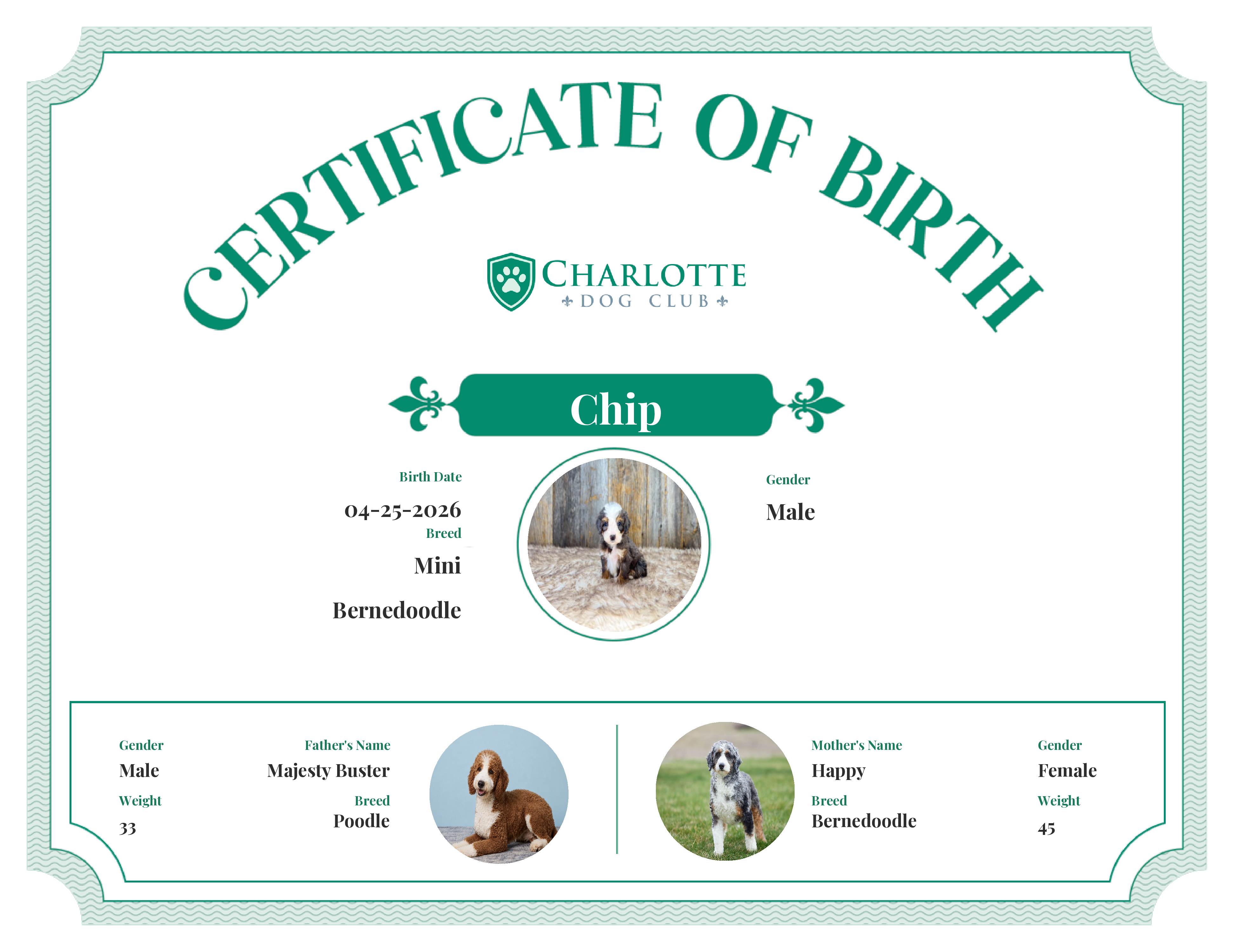 Chip's Birth Certificate