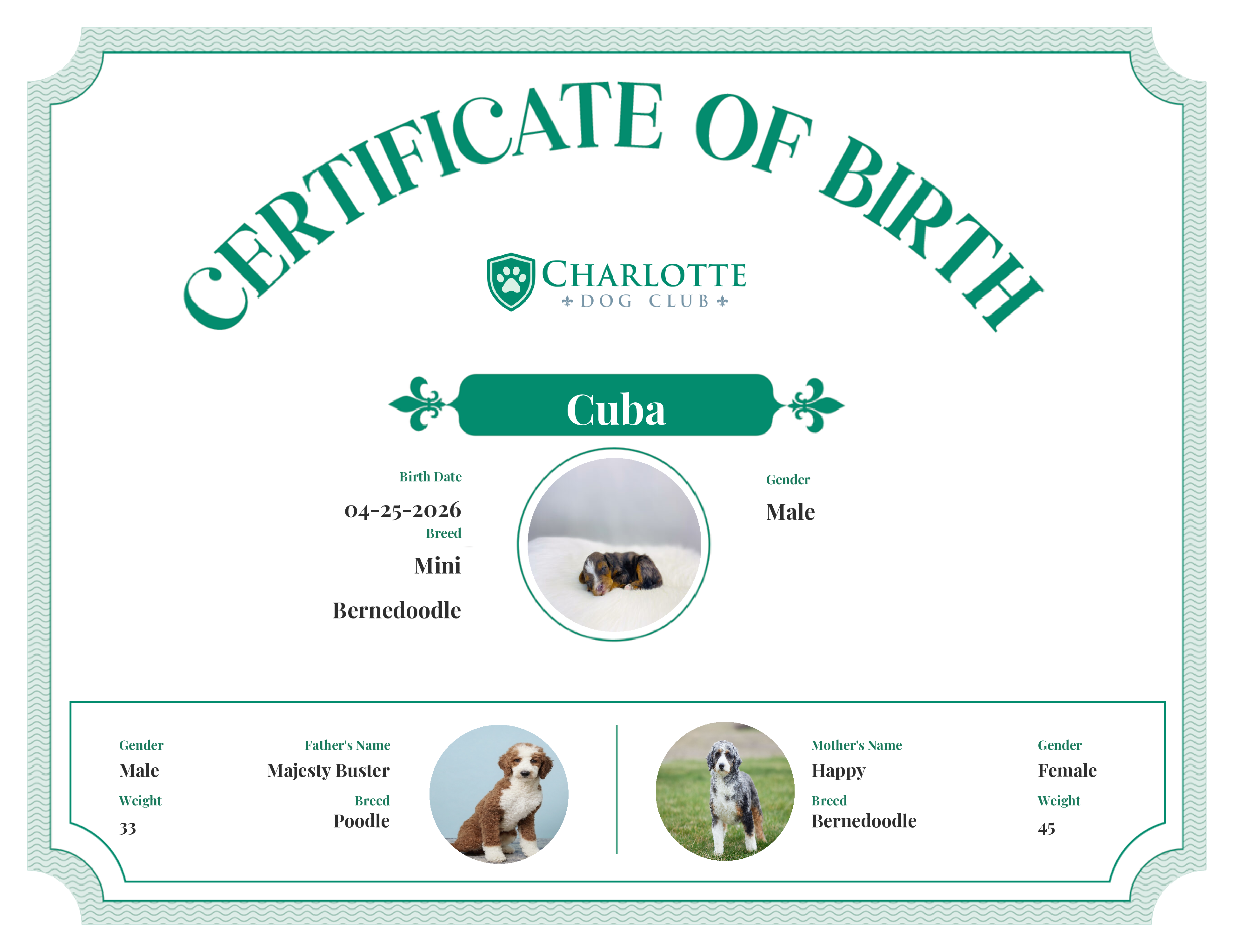 Cuba's Birth Certificate