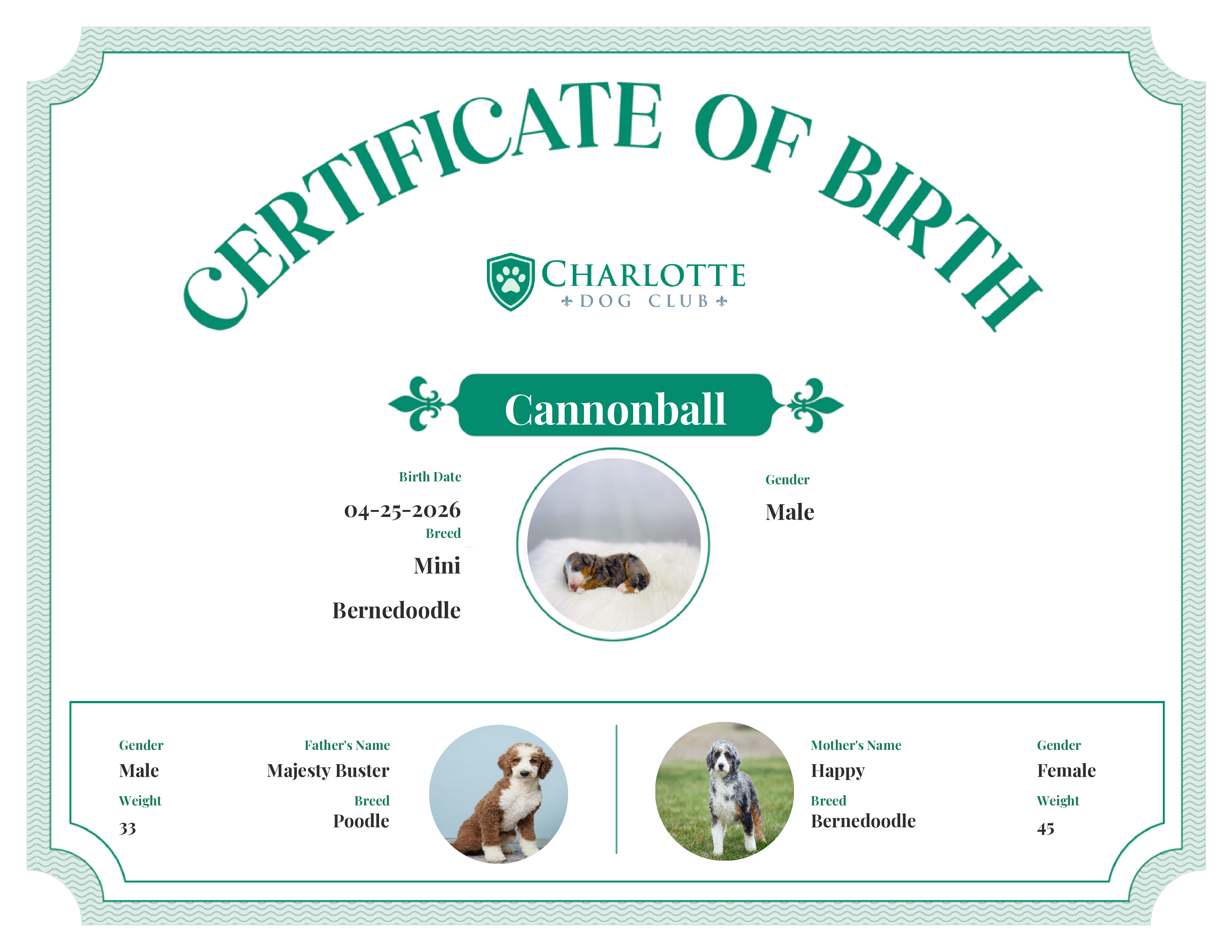 Cannonball's Birth Certificate