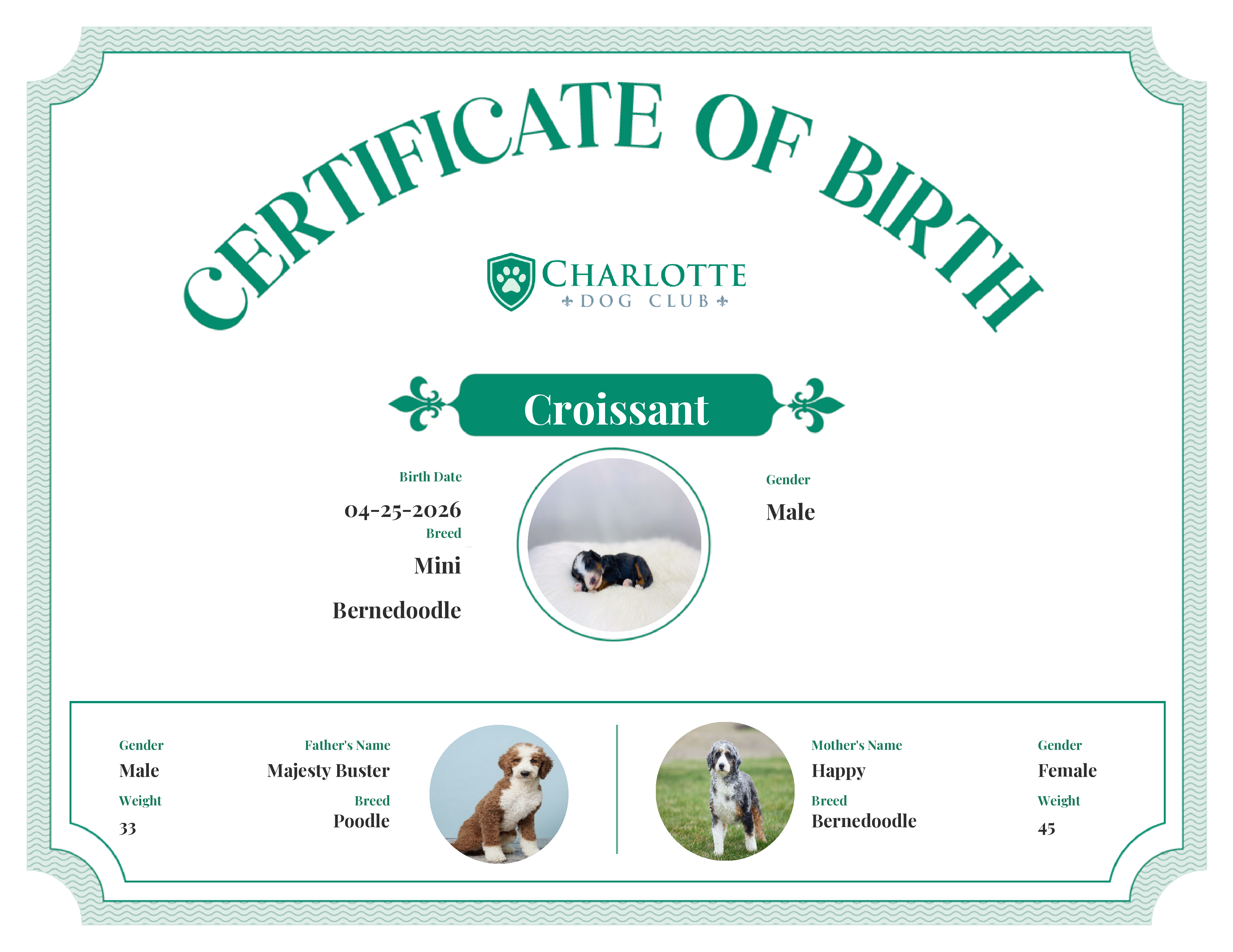 Croissant's Birth Certificate