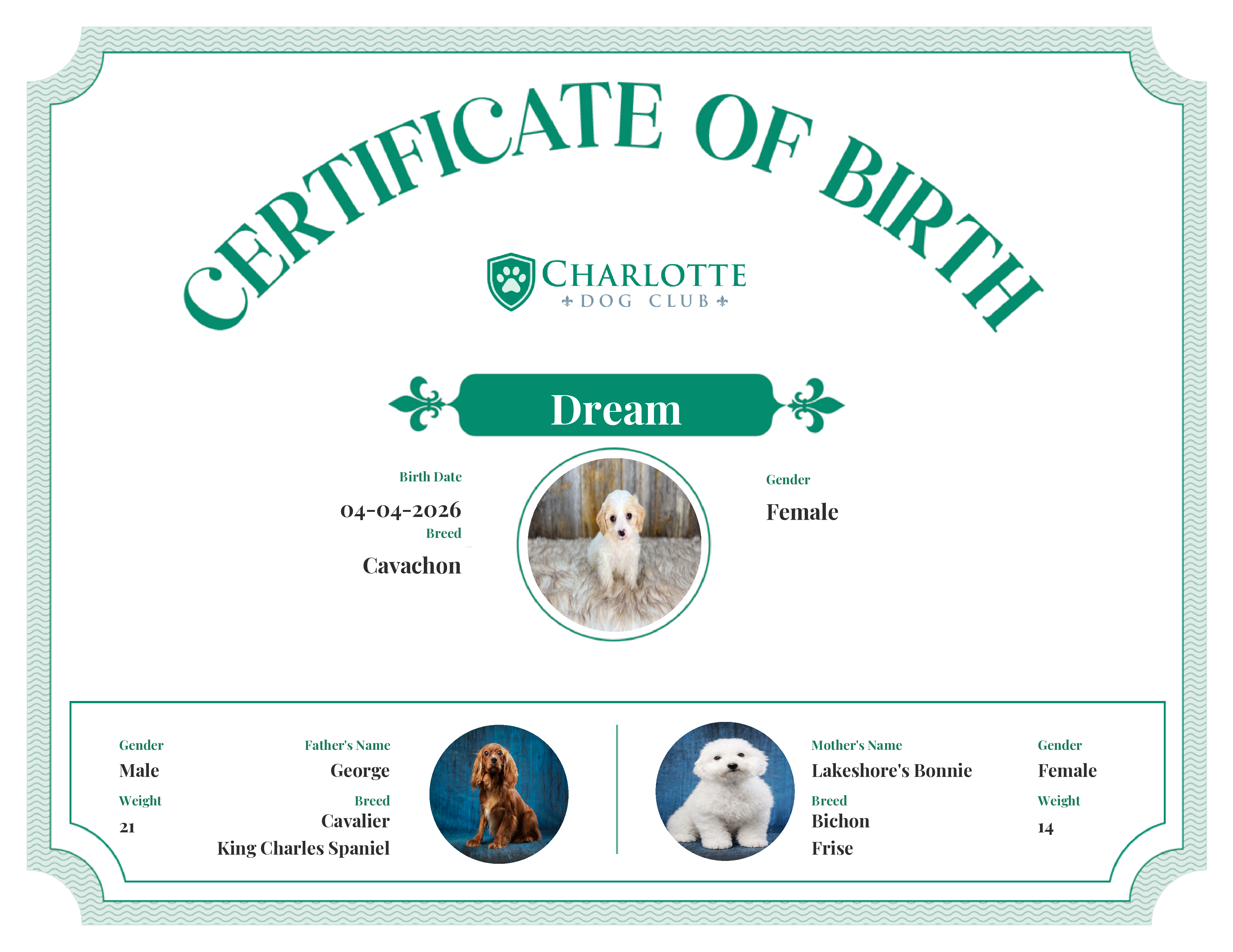 Dream's Birth Certificate