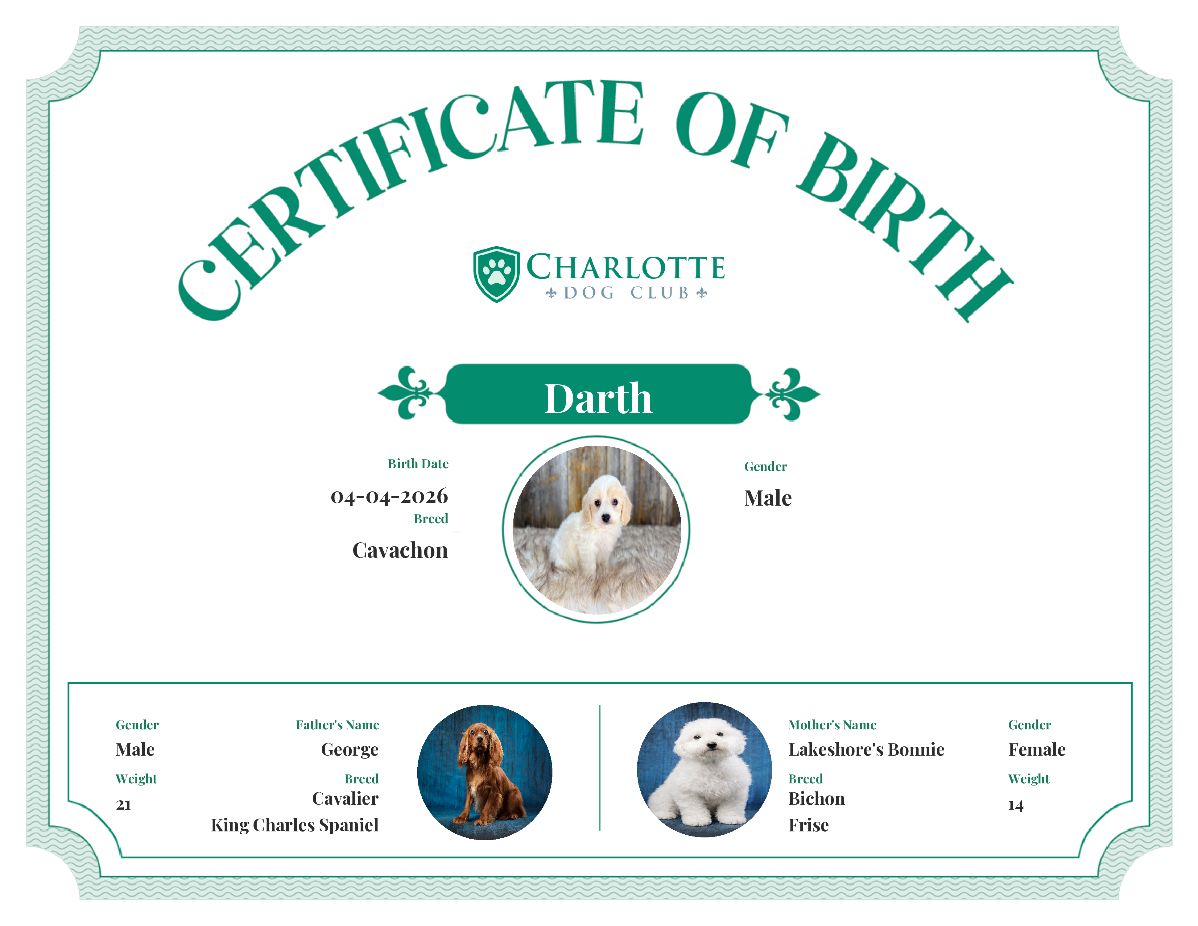 Darth's Birth Certificate