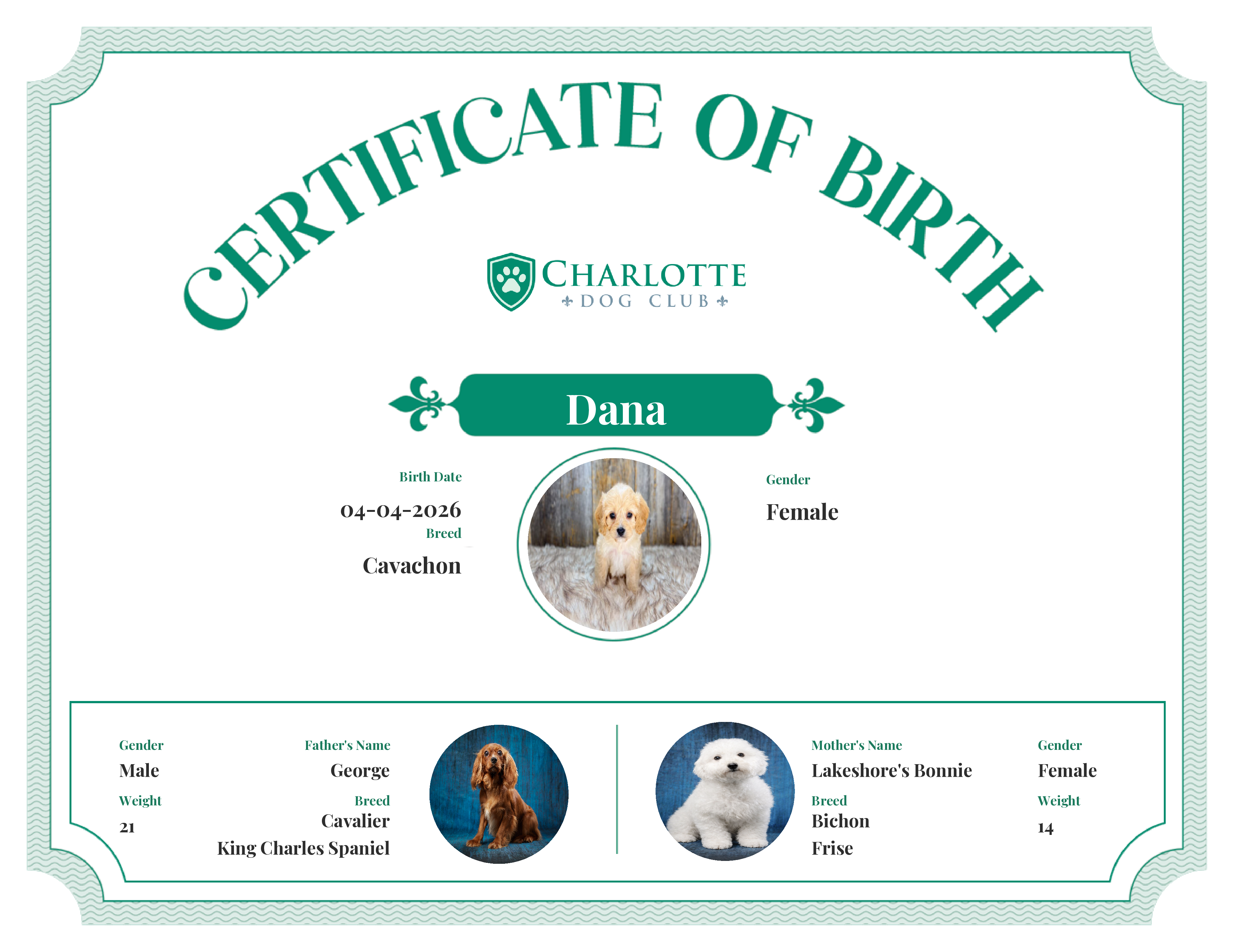 Dana's Birth Certificate