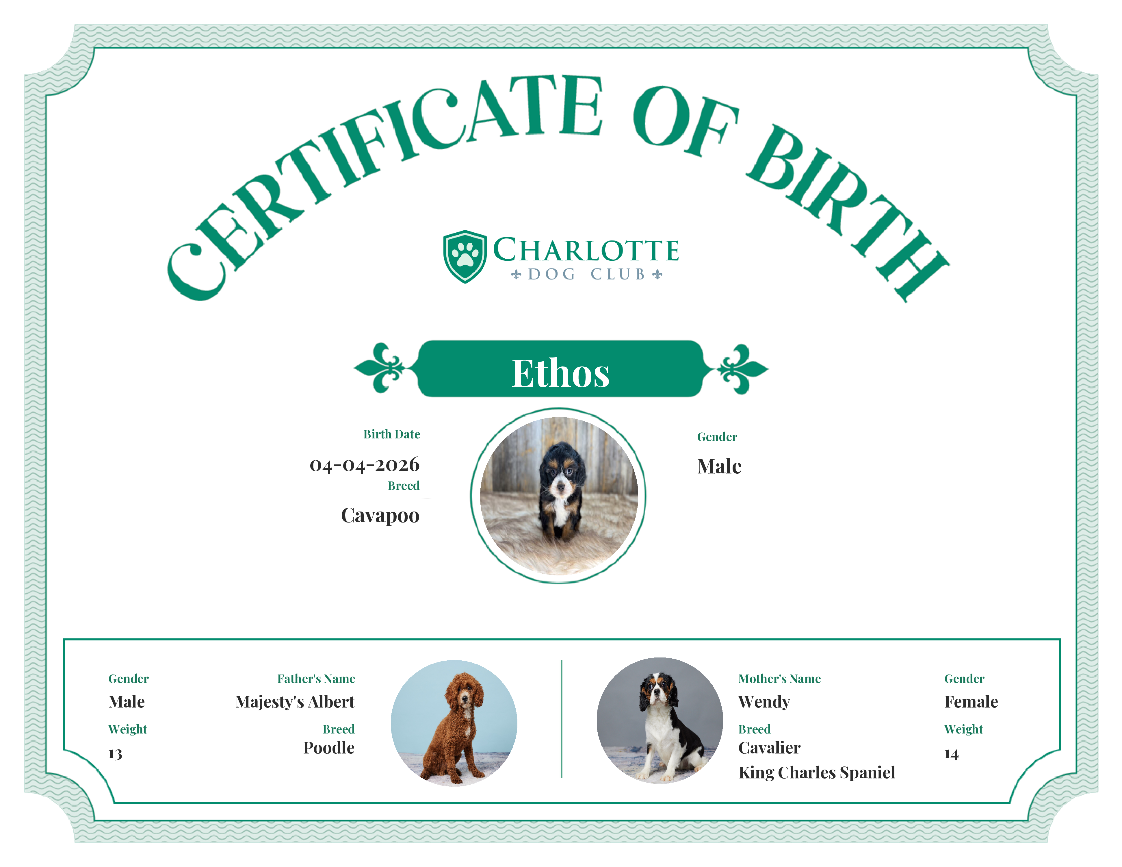 Ethos's Birth Certificate