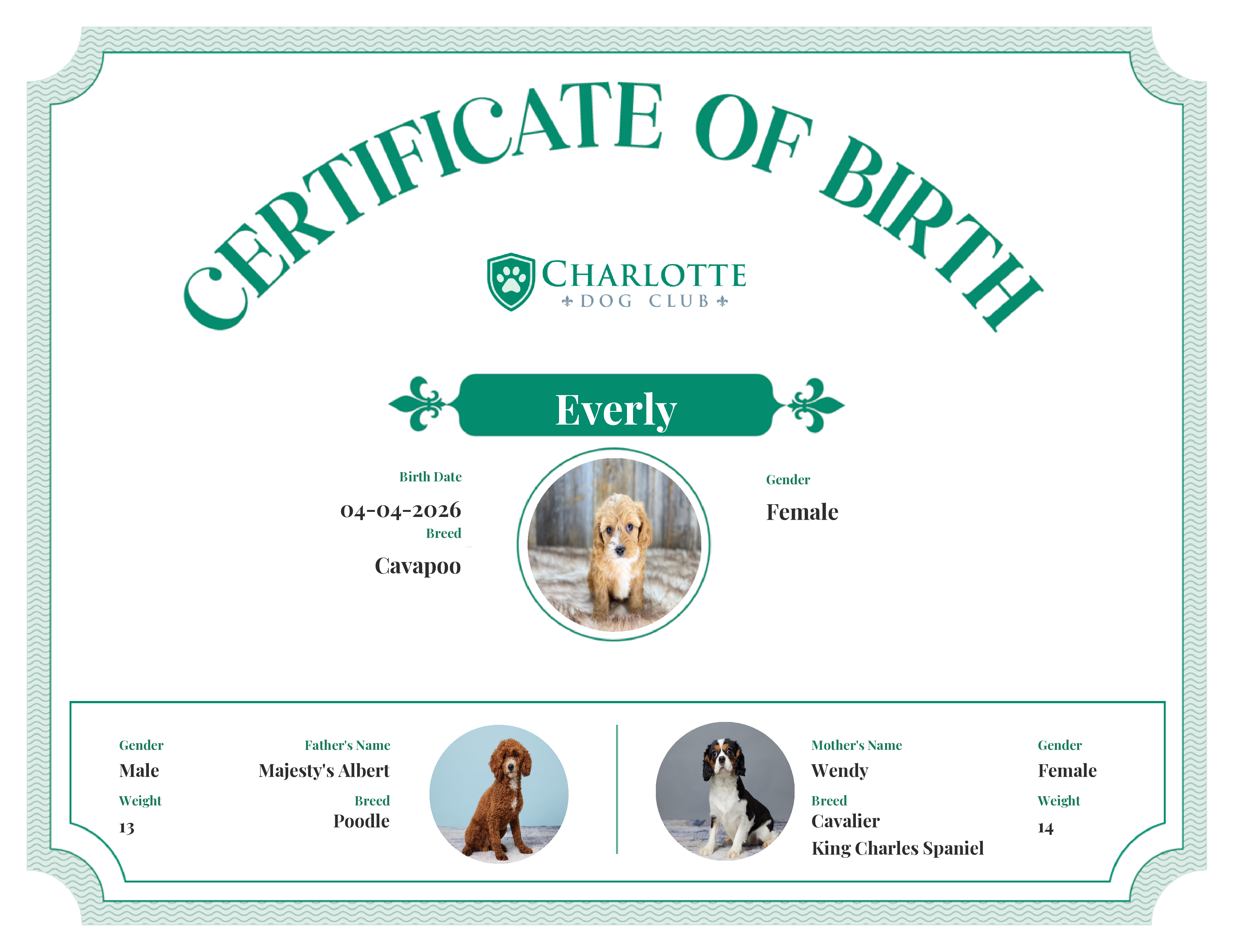 Everly's Birth Certificate