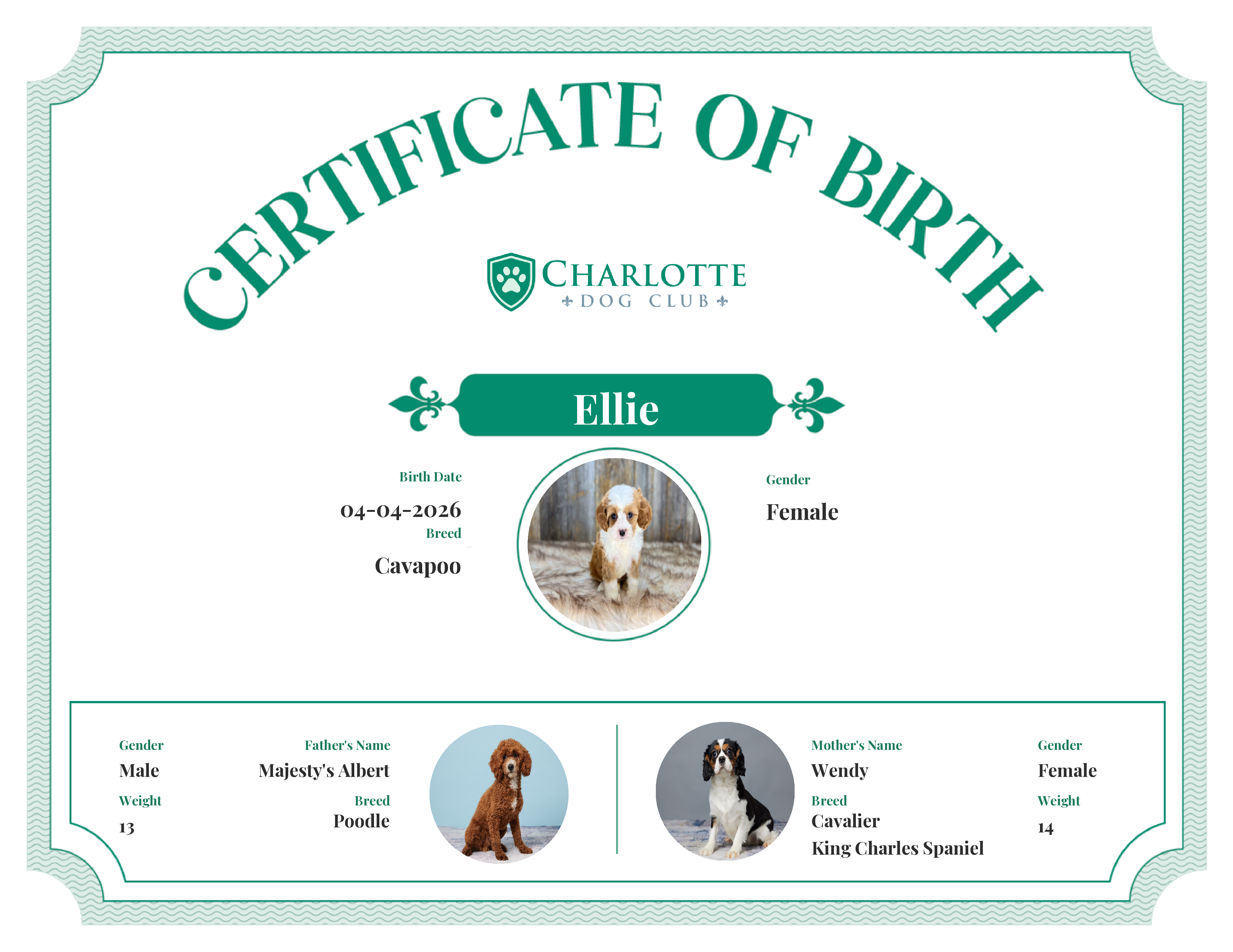 Ellie's Birth Certificate