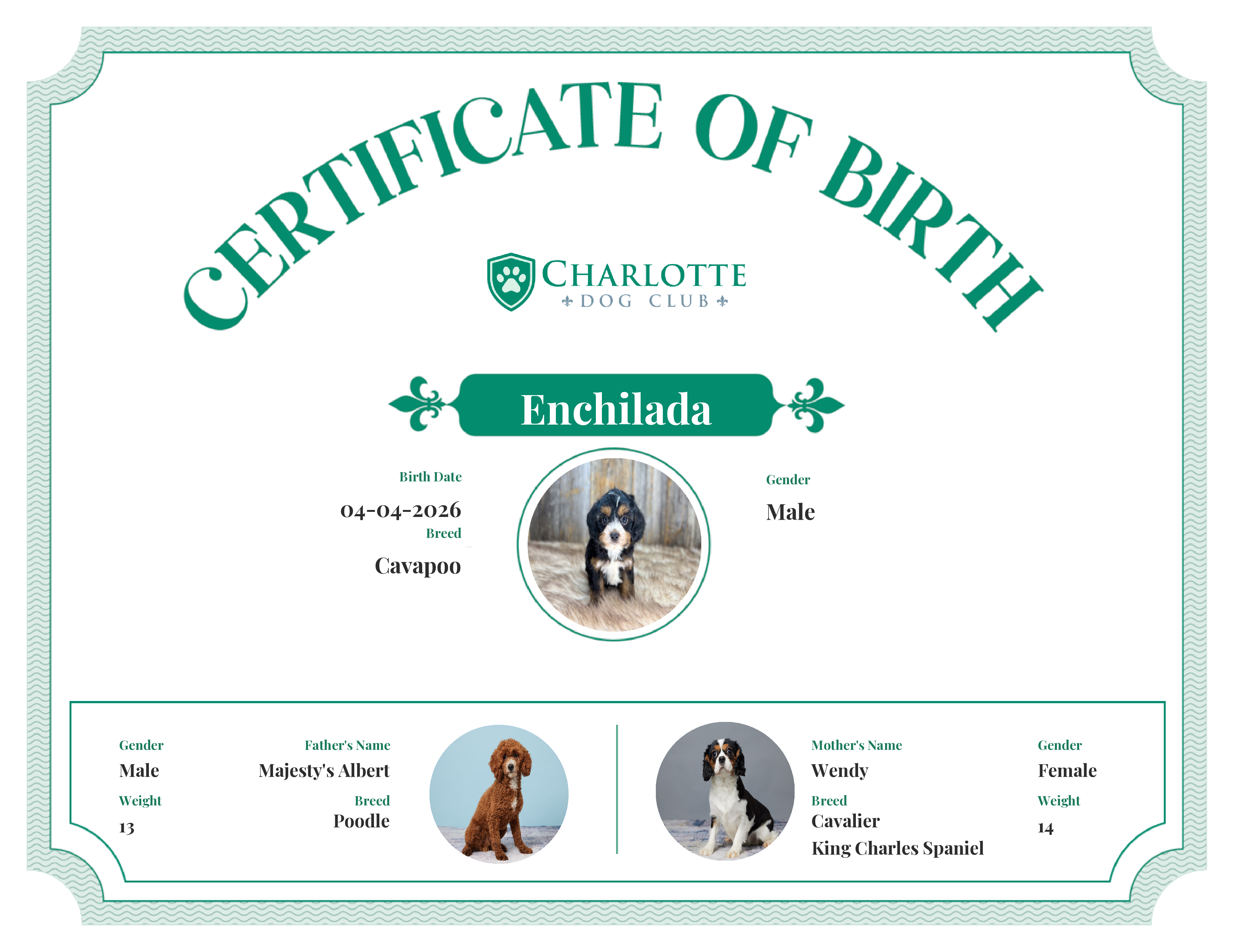 Enchilada's Birth Certificate