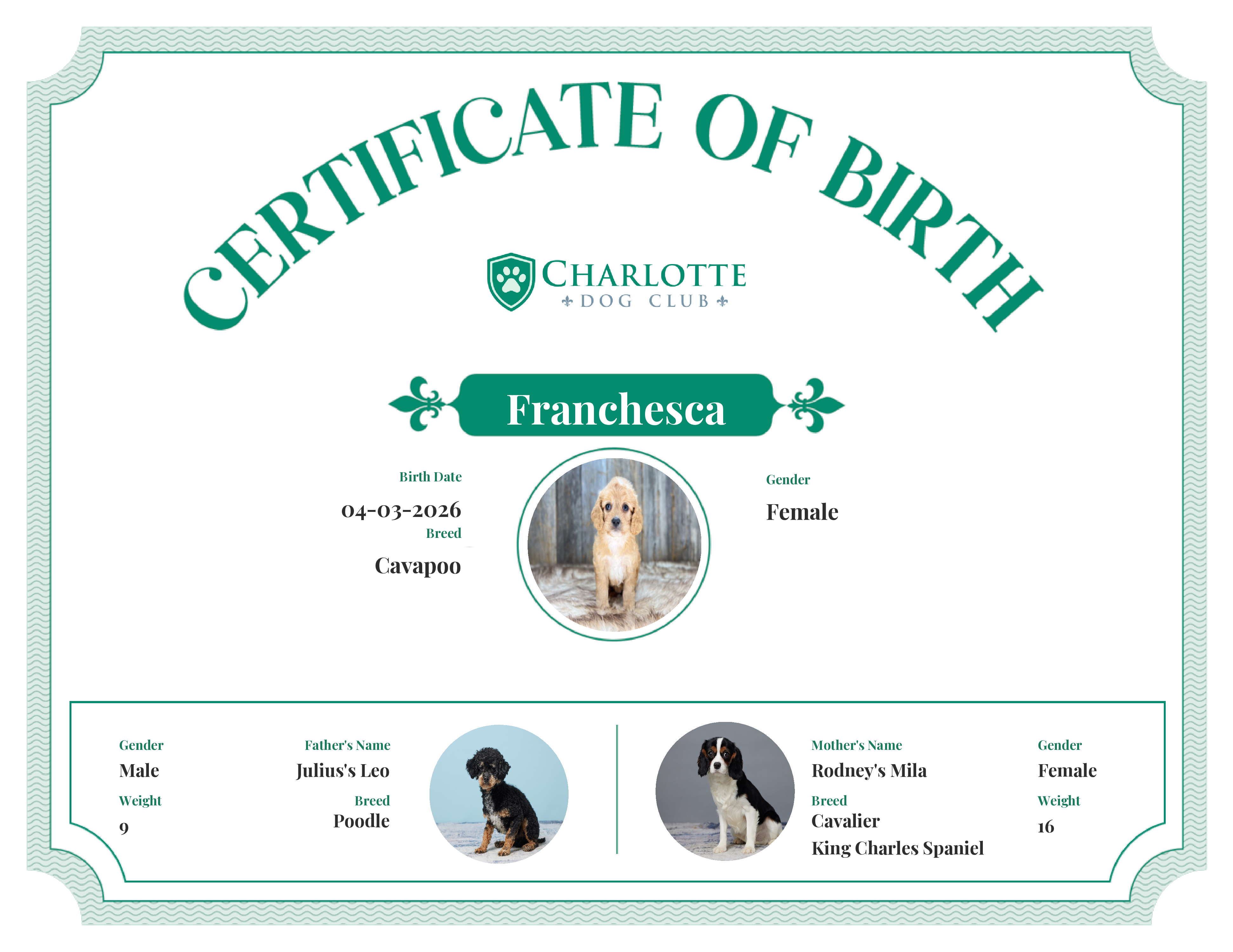 Franchesca's Birth Certificate