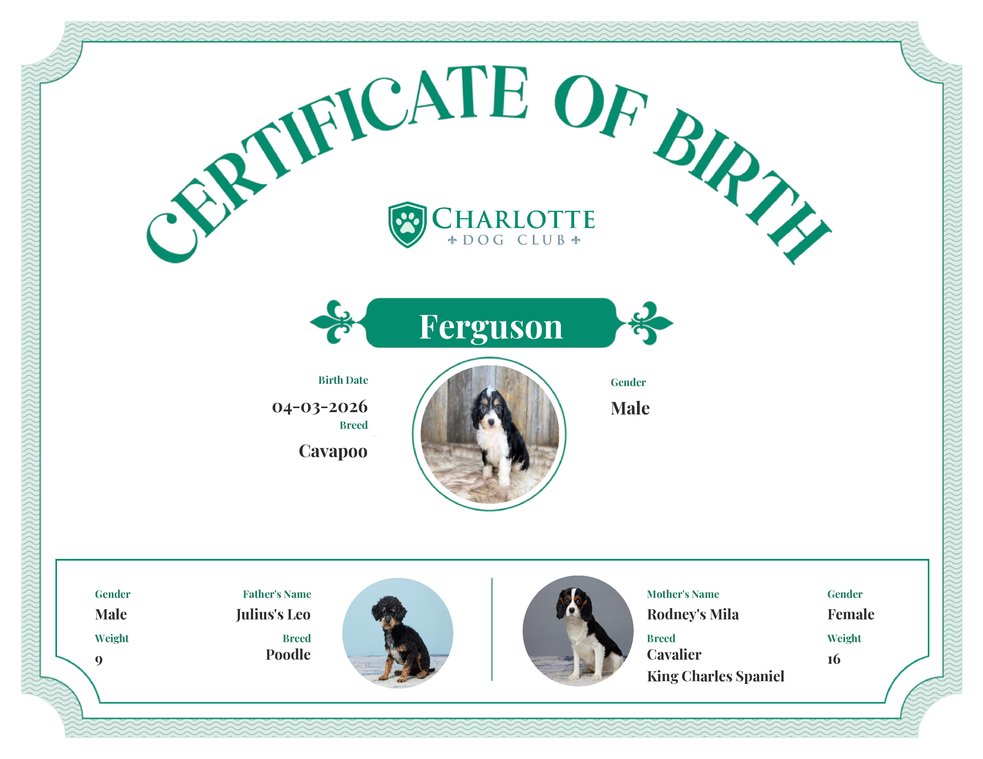Ferguson's Birth Certificate