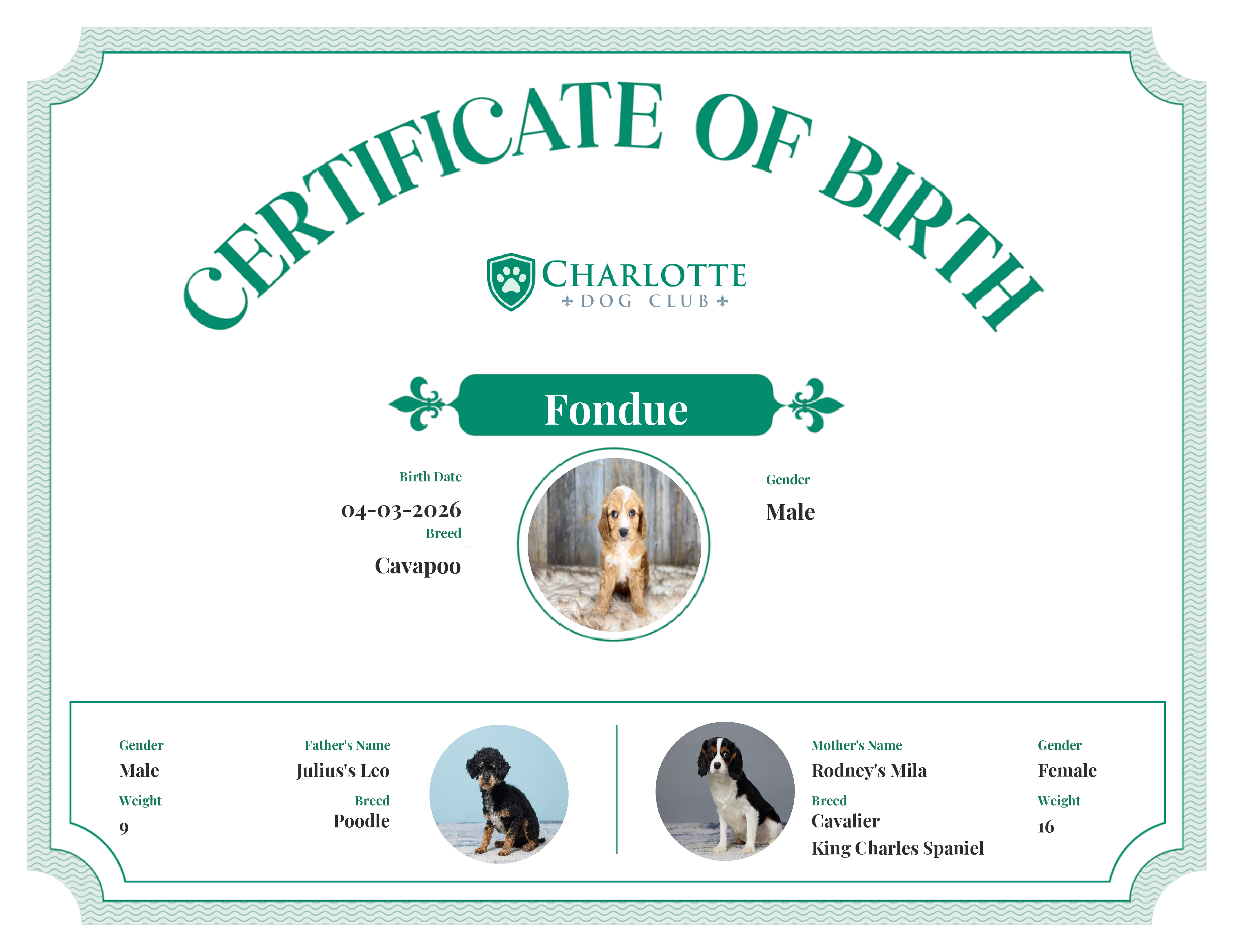 Fondue's Birth Certificate