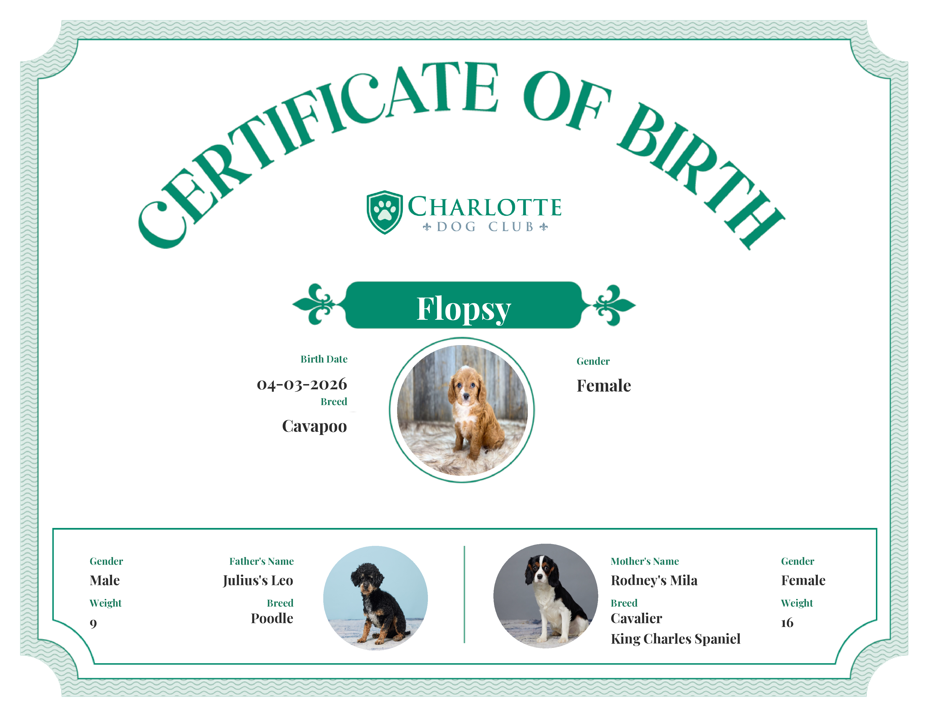 Flopsy's Birth Certificate