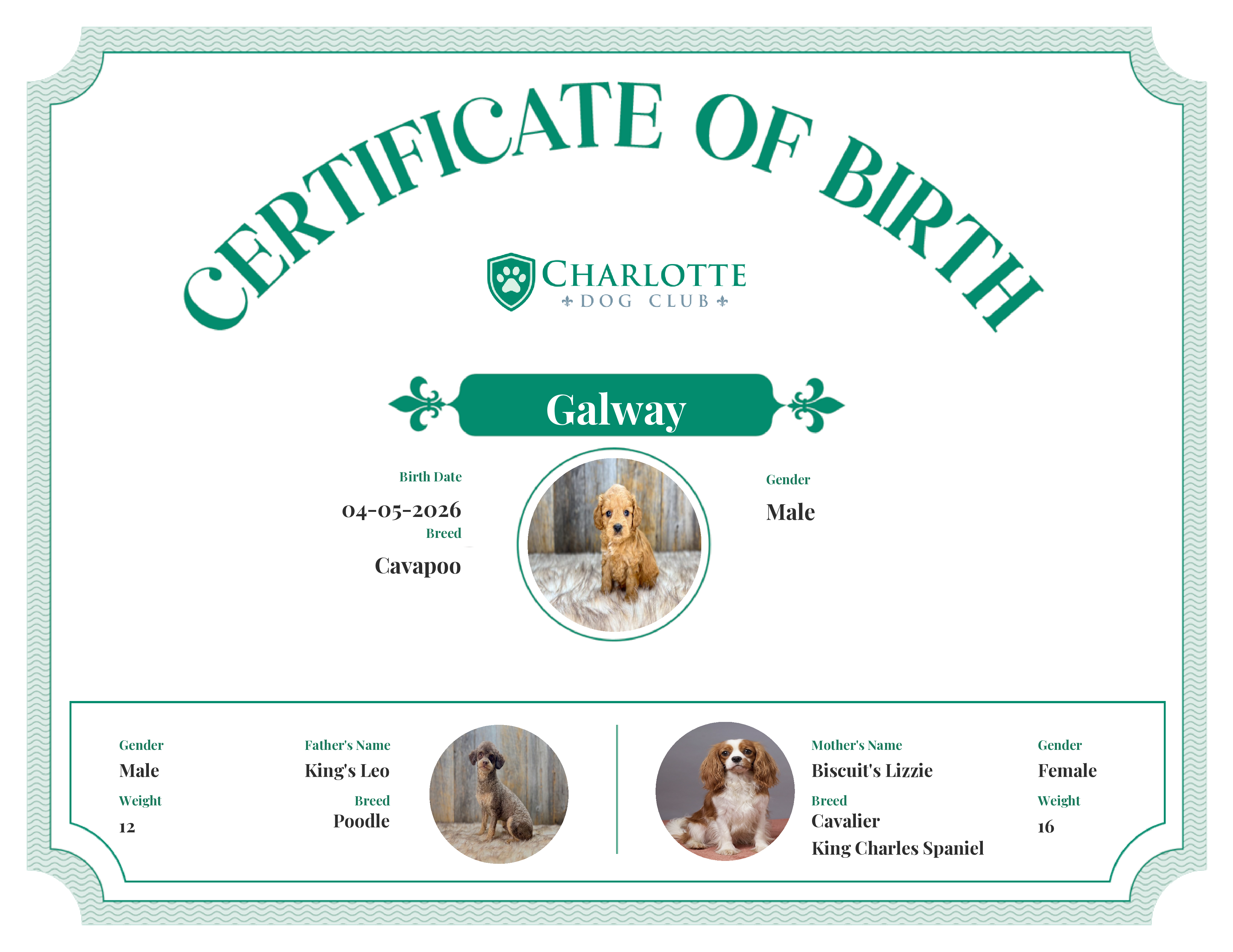 Galway's Birth Certificate
