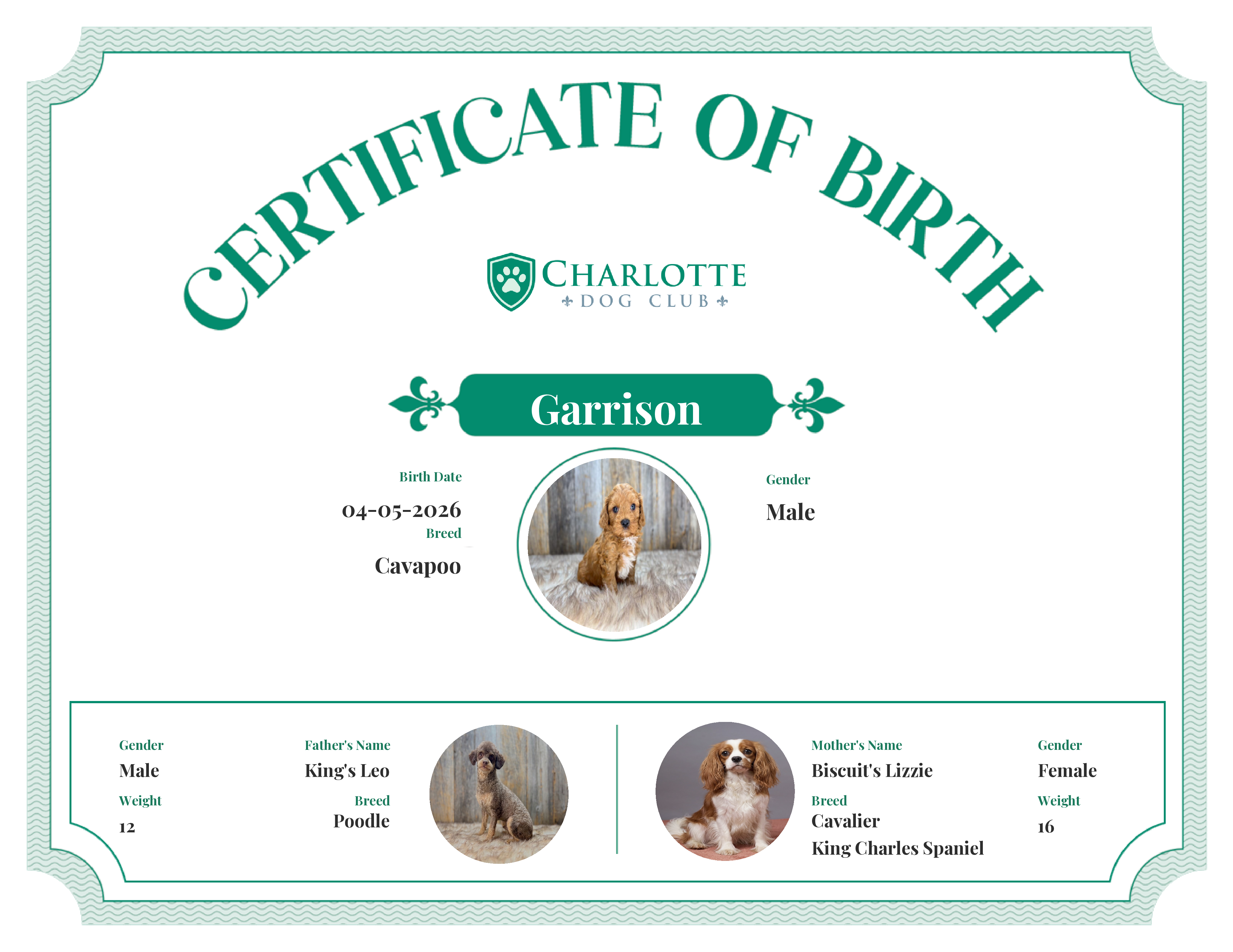 Garrison's Birth Certificate