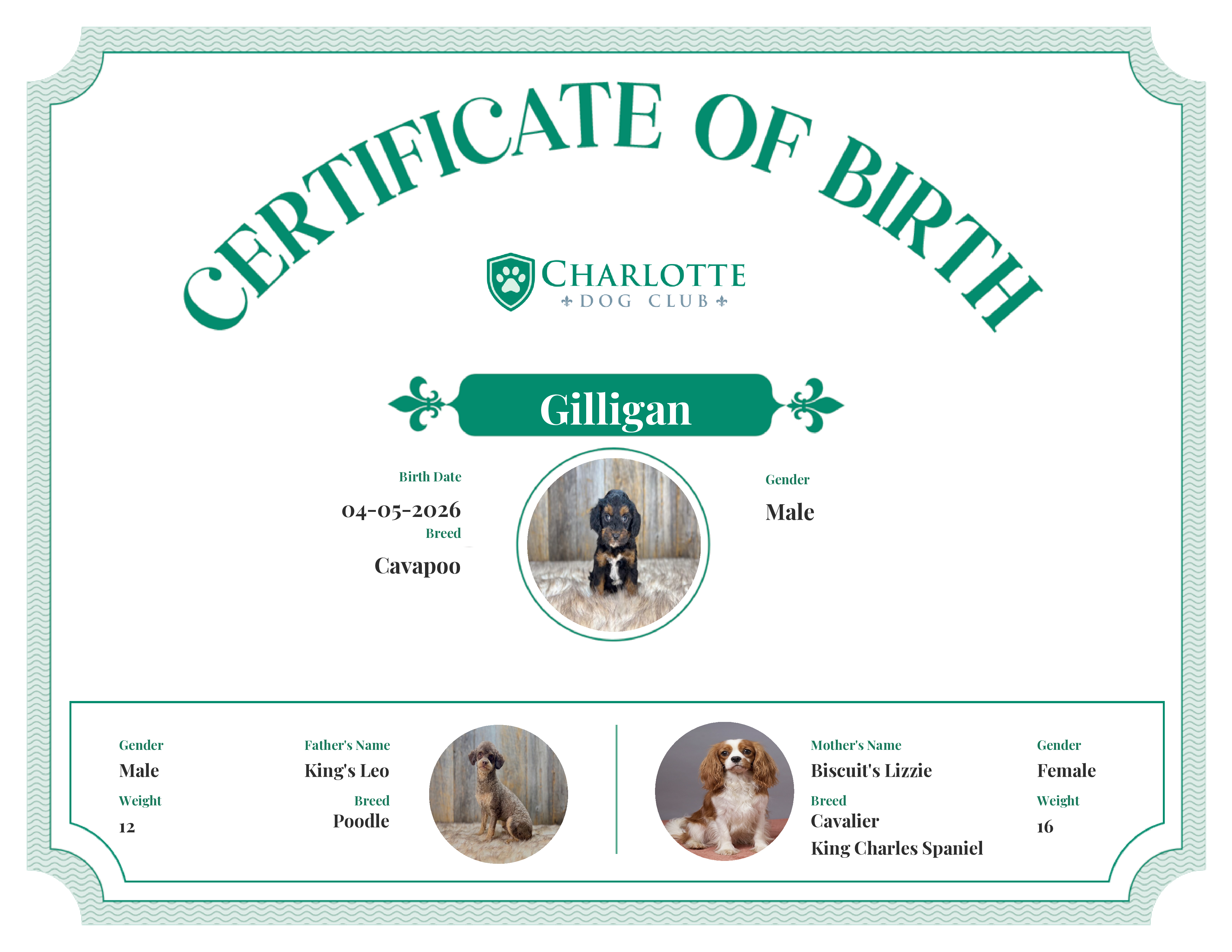 Gilligan's Birth Certificate