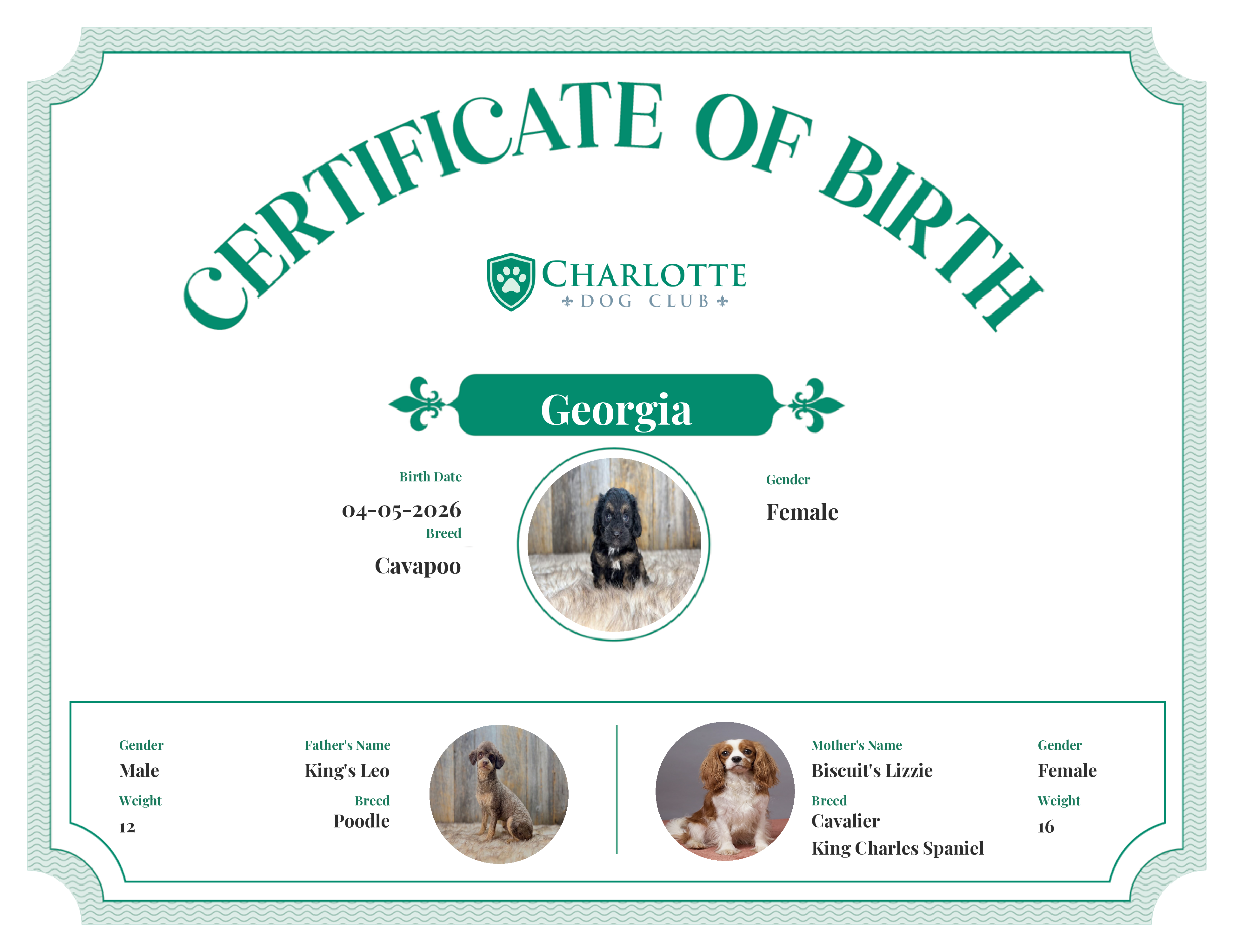 Georgia's Birth Certificate