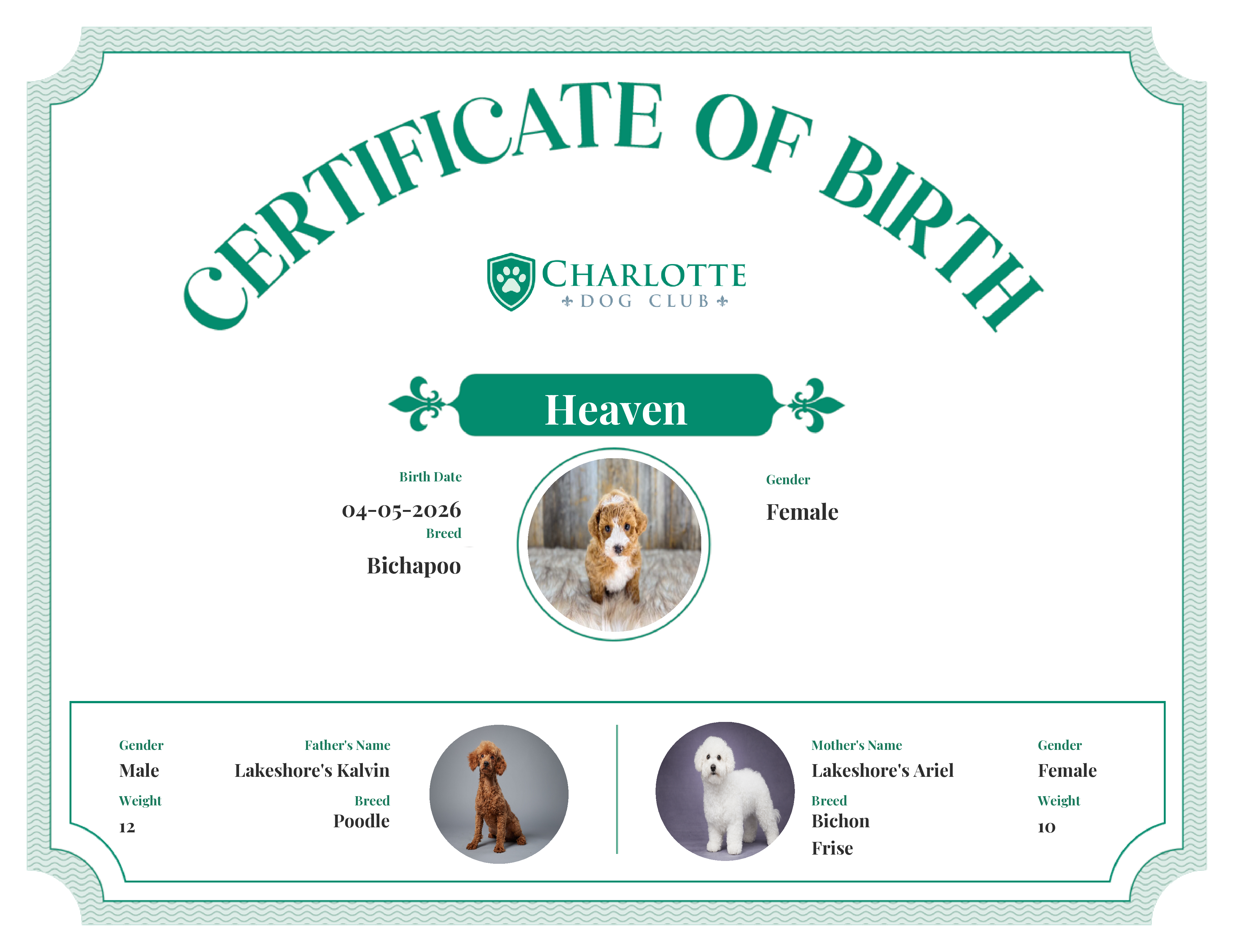 Heaven's Birth Certificate