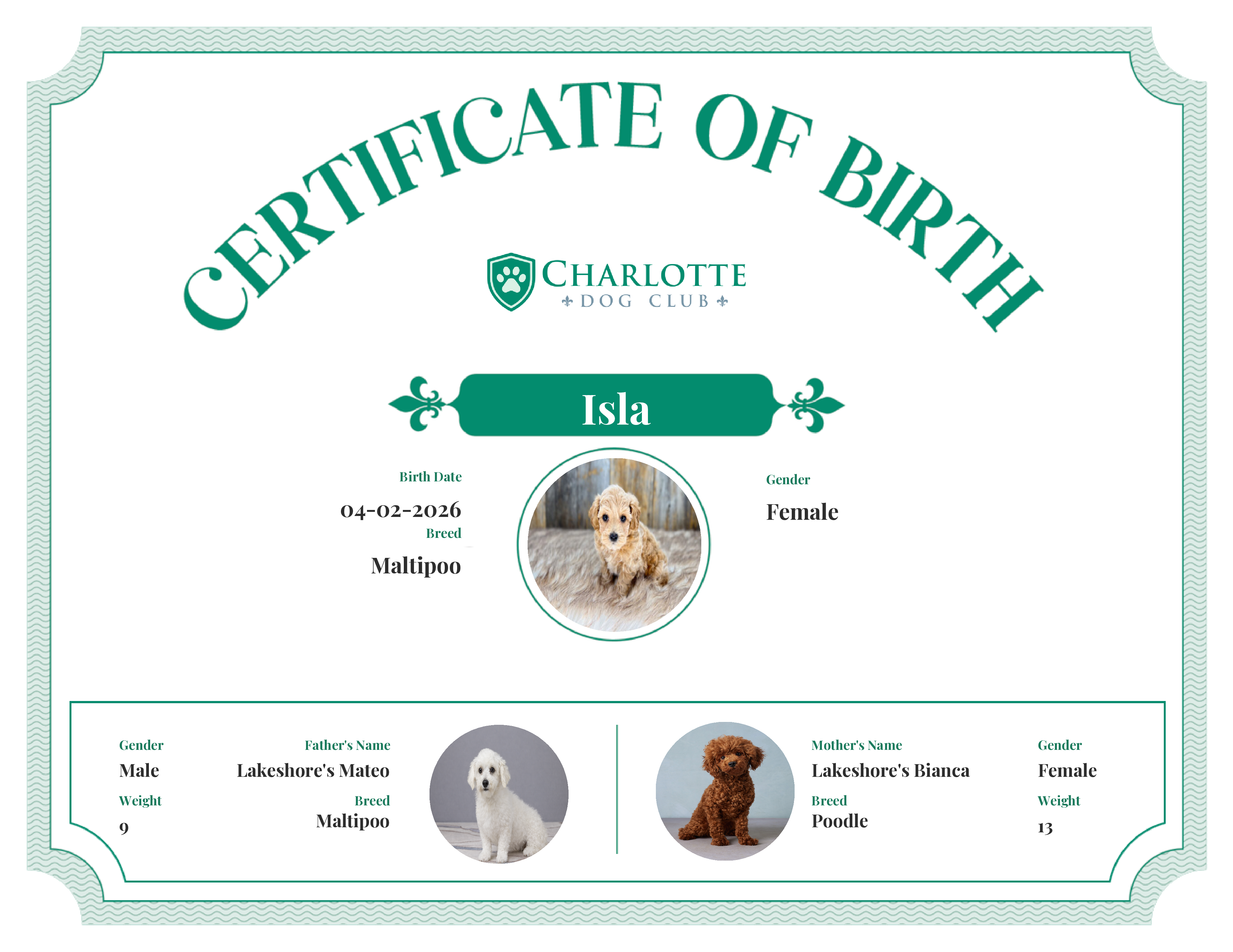 Isla's Birth Certificate