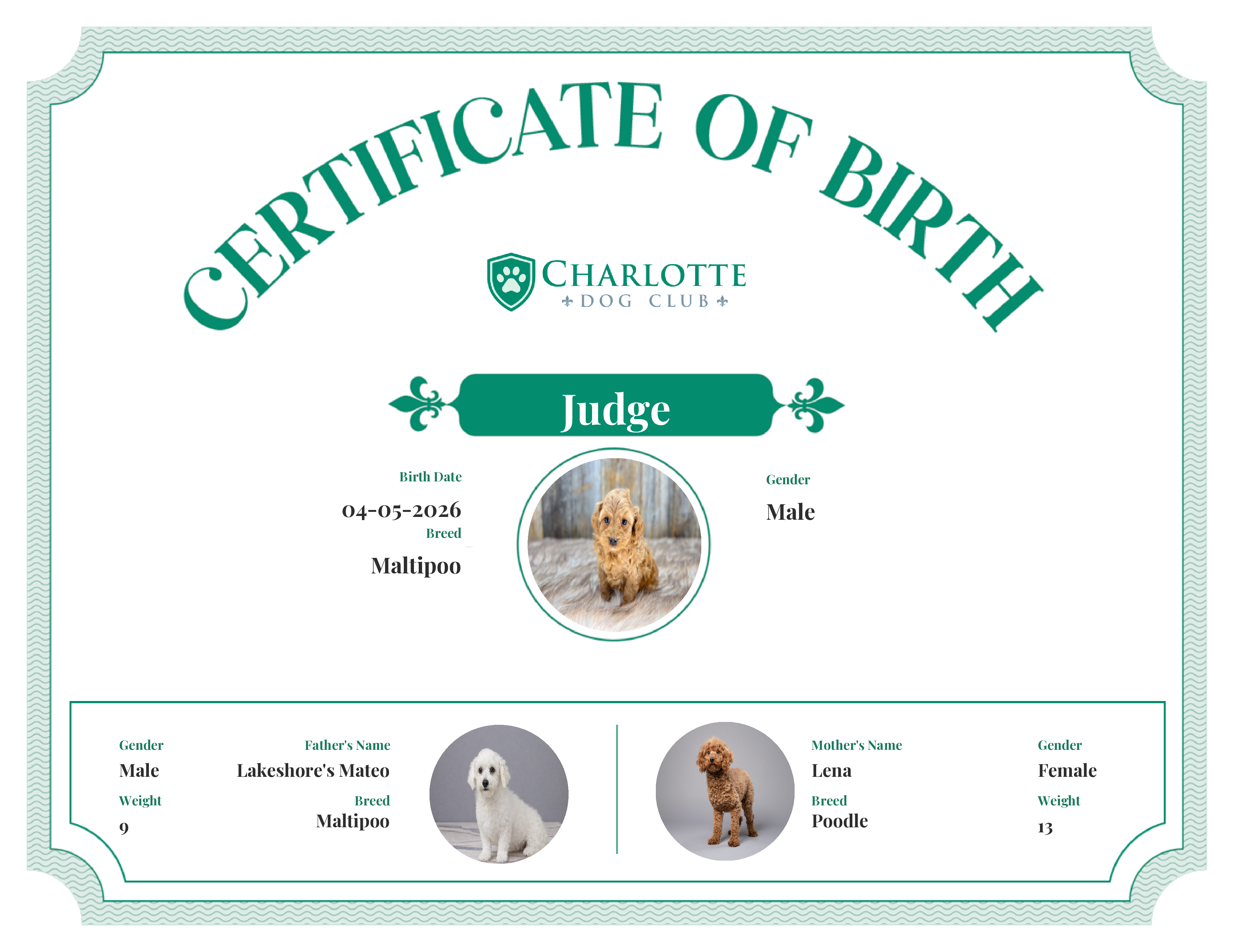 Judge's Birth Certificate