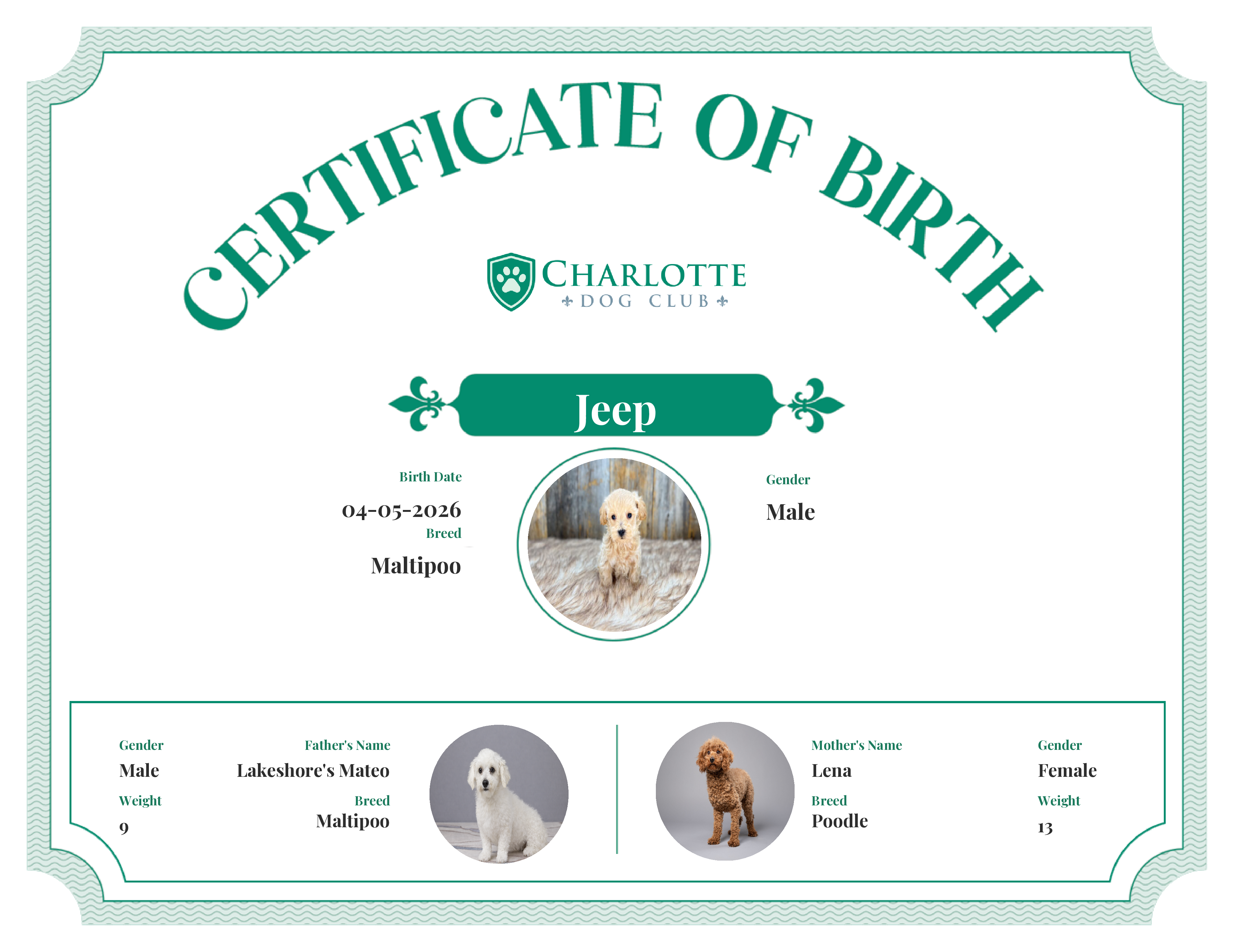 Jeep's Birth Certificate