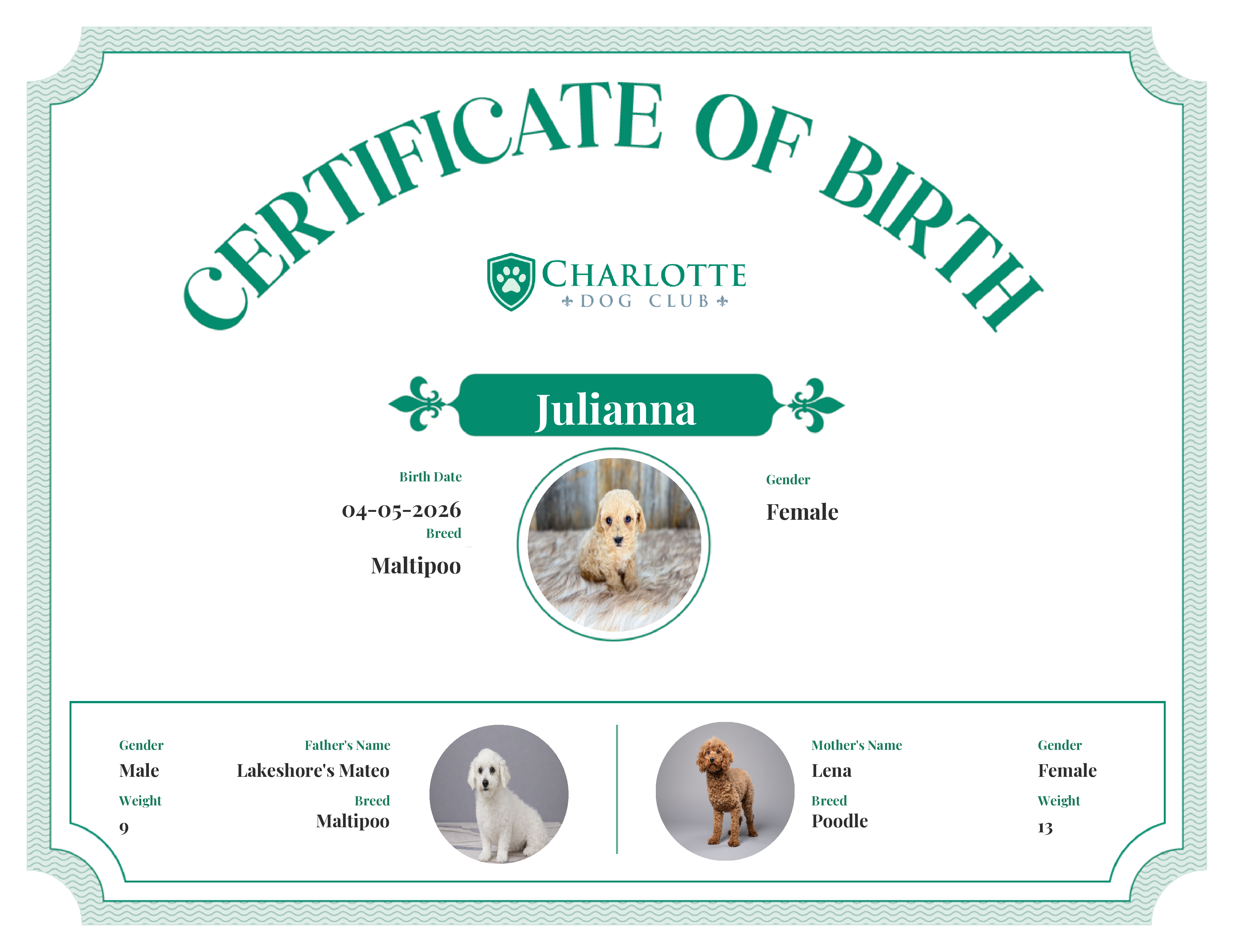 Julianna's Birth Certificate