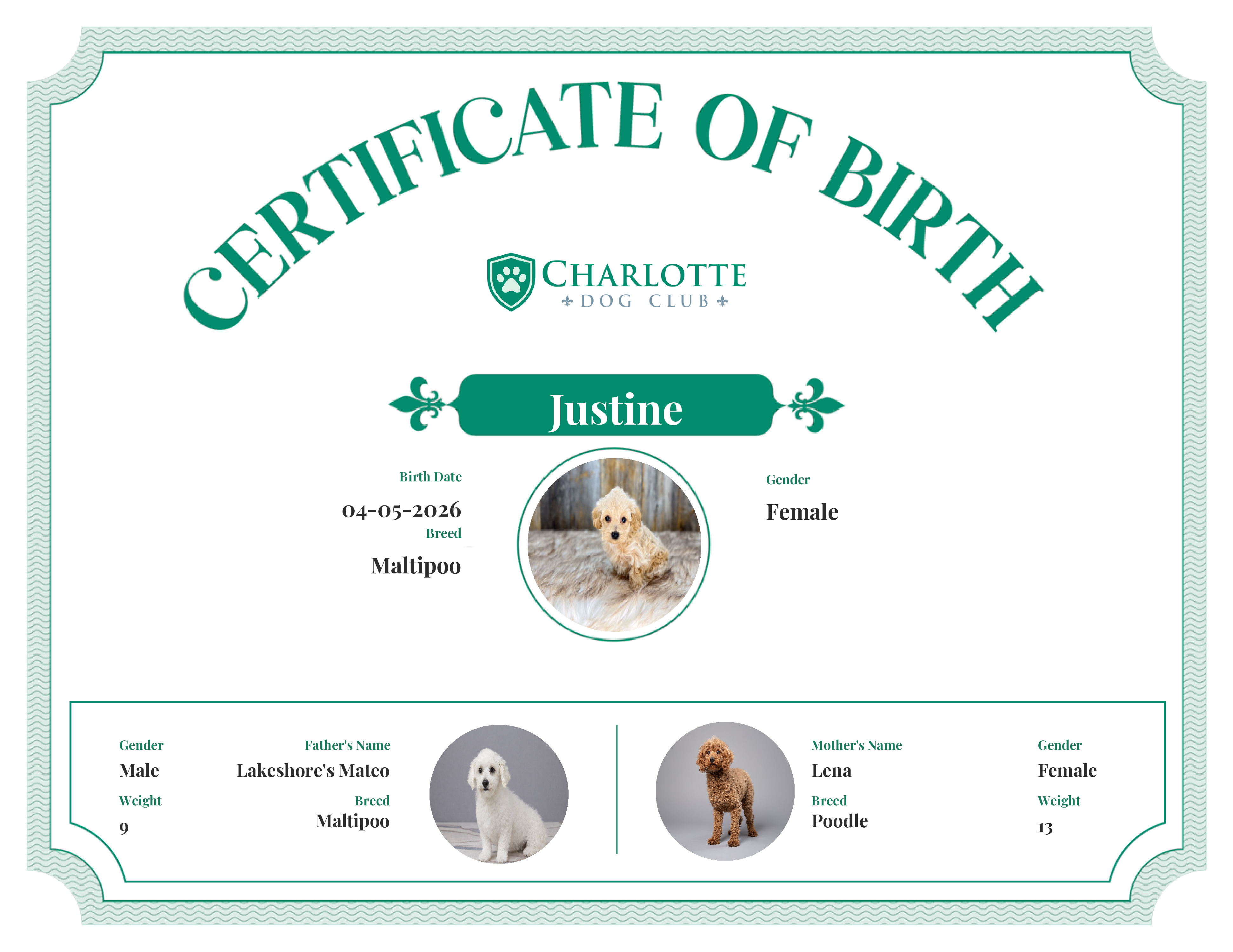 Justine's Birth Certificate