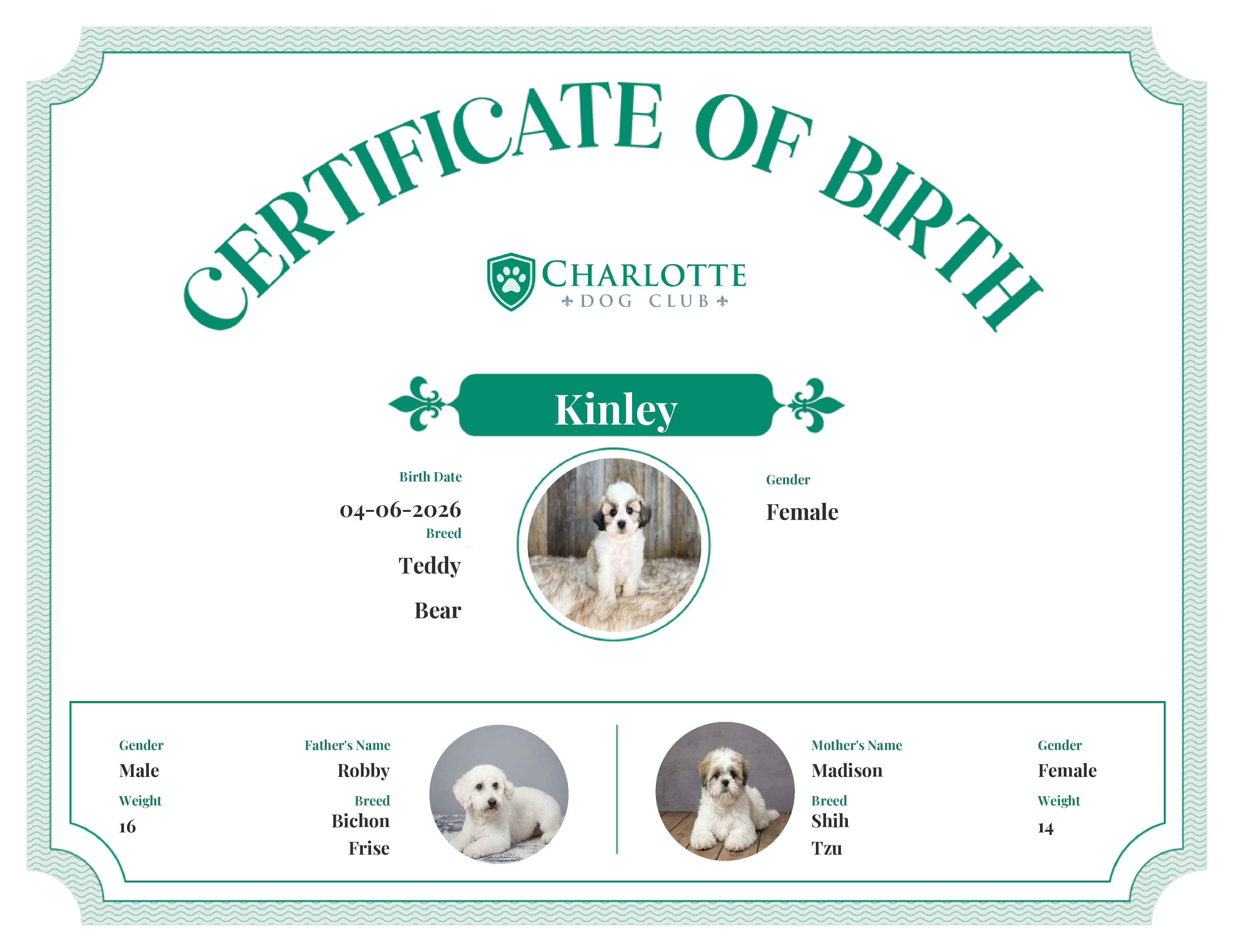 Kinley's Birth Certificate