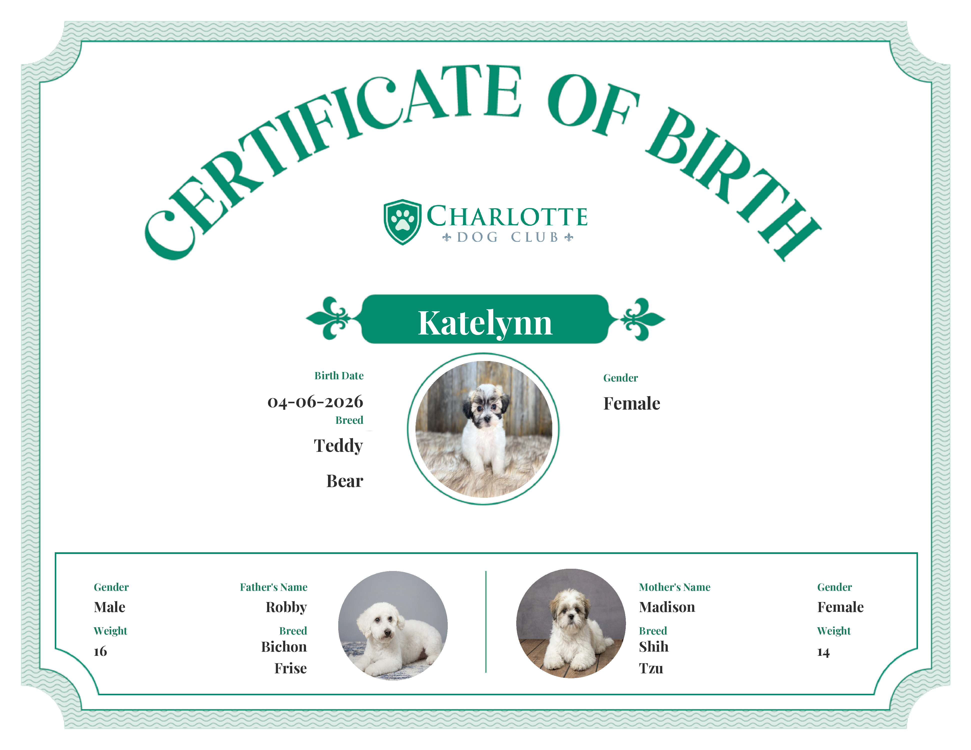 Katelynn's Birth Certificate