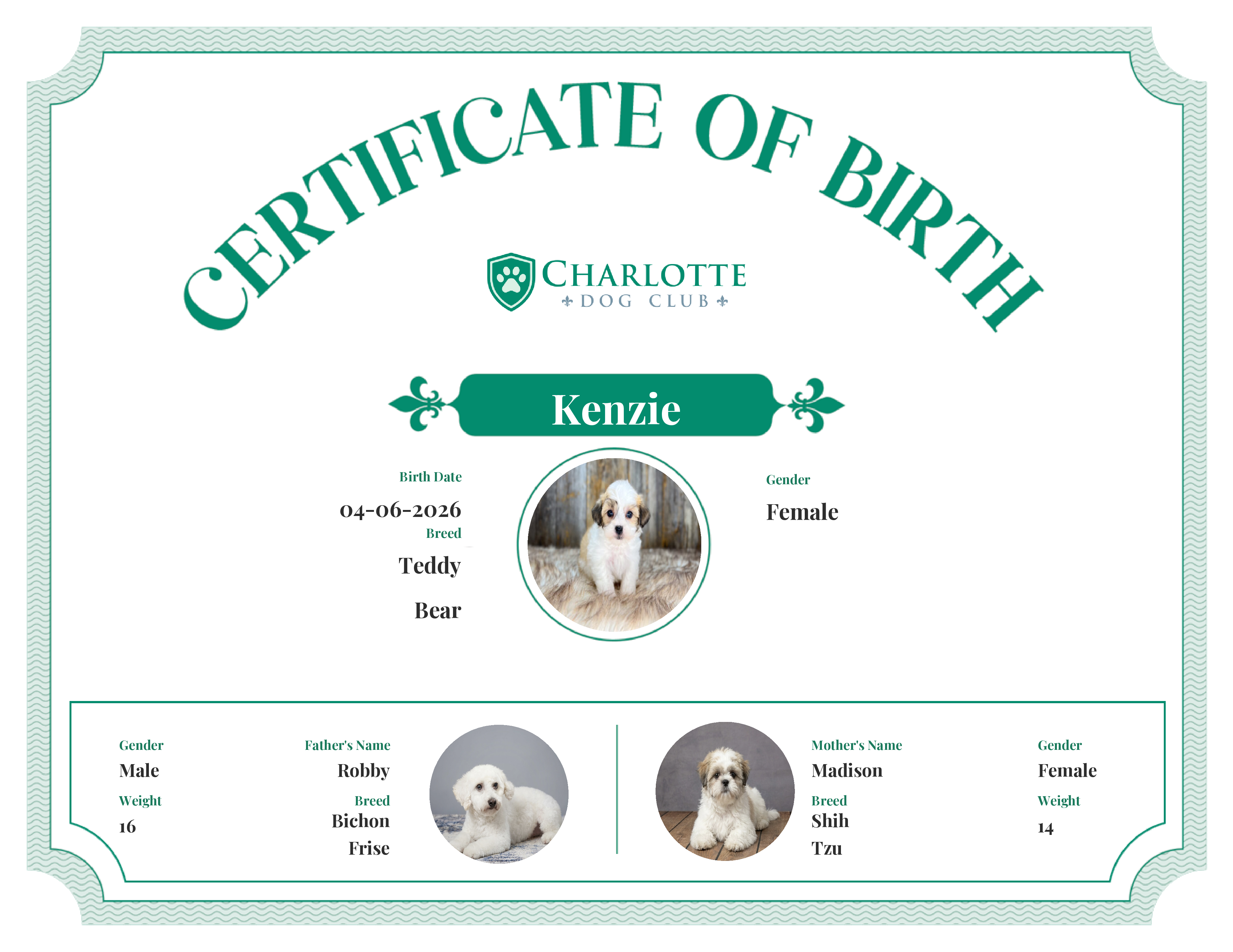 Kenzie's Birth Certificate