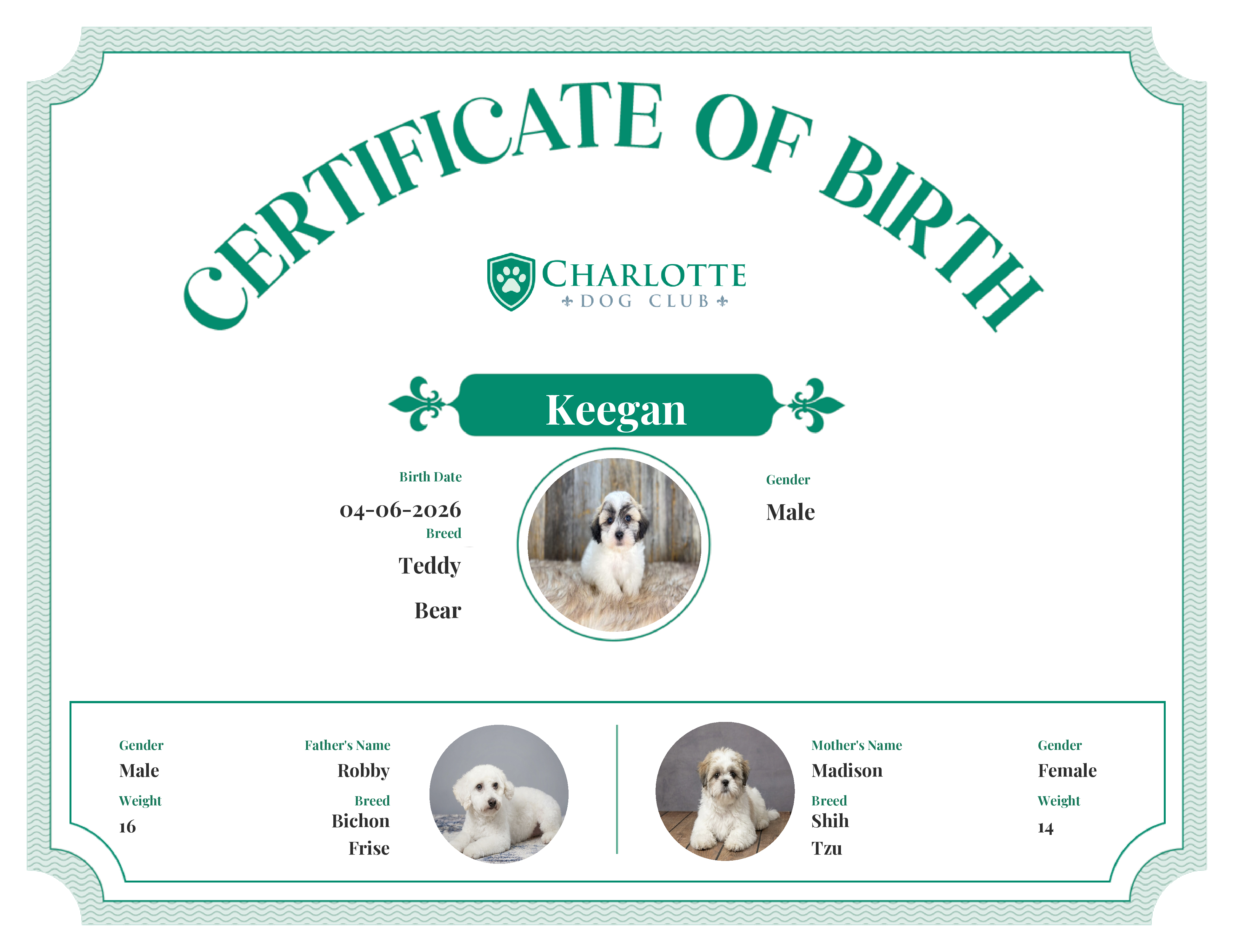 Keegan's Birth Certificate