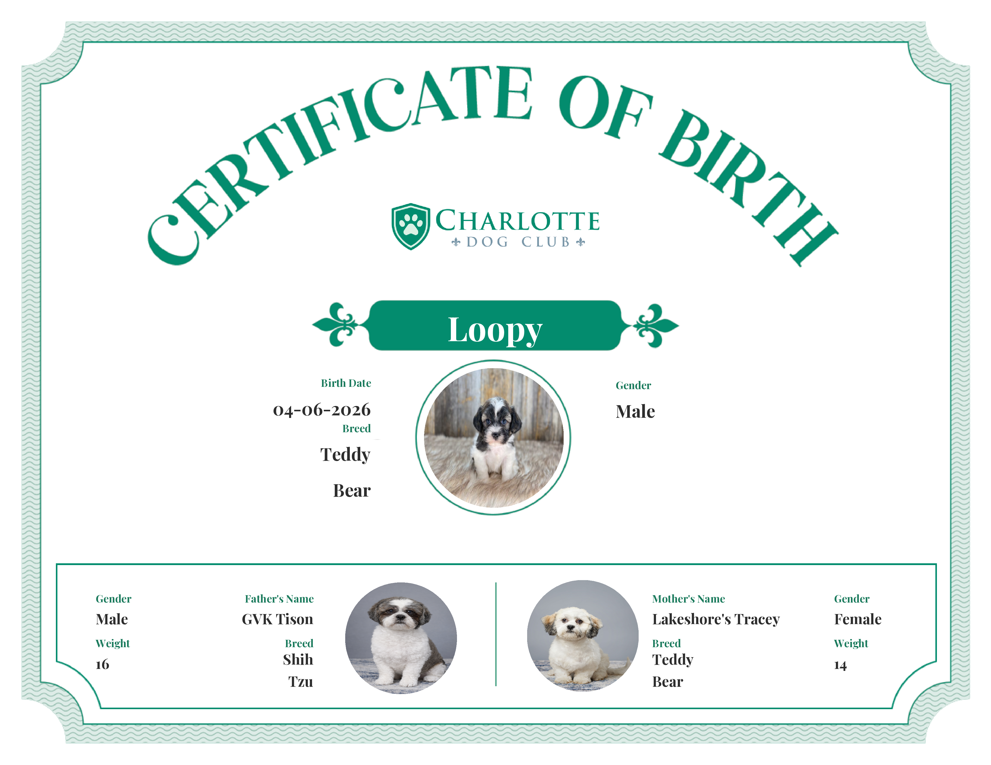 Loopy's Birth Certificate