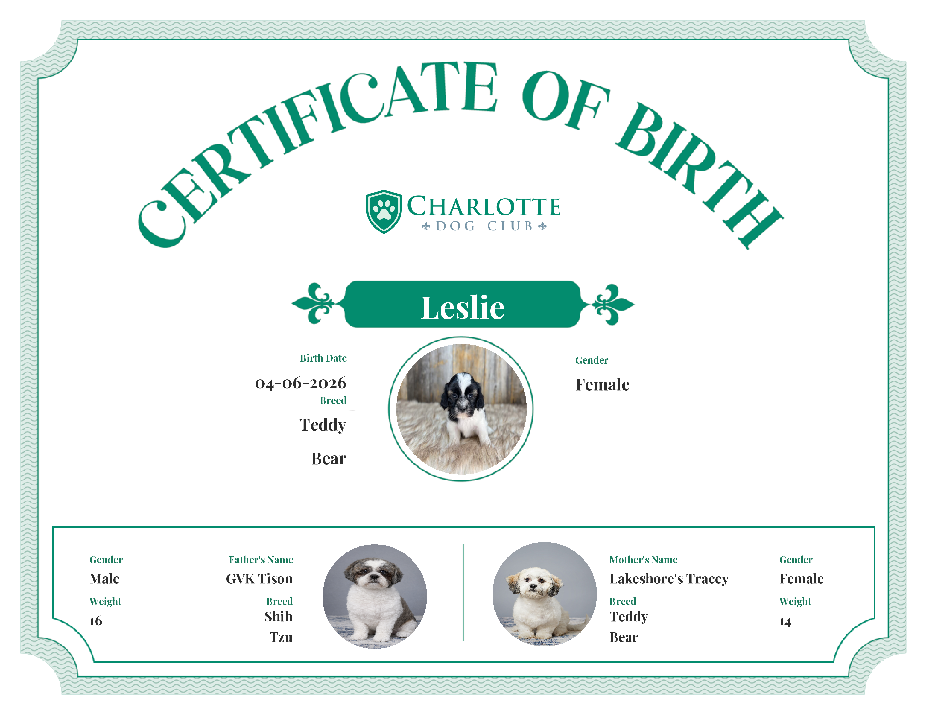 Leslie's Birth Certificate