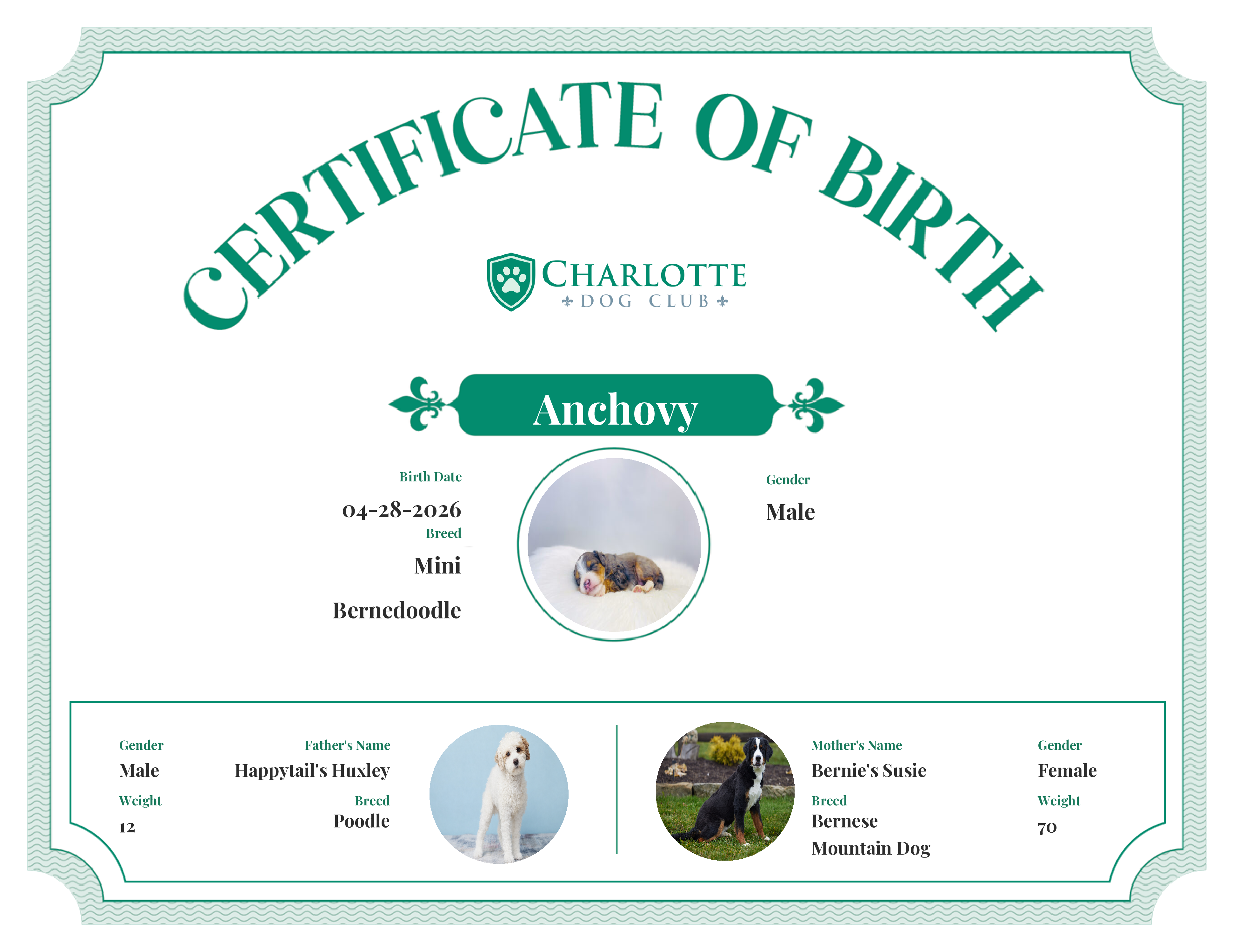 Anchovy's Birth Certificate