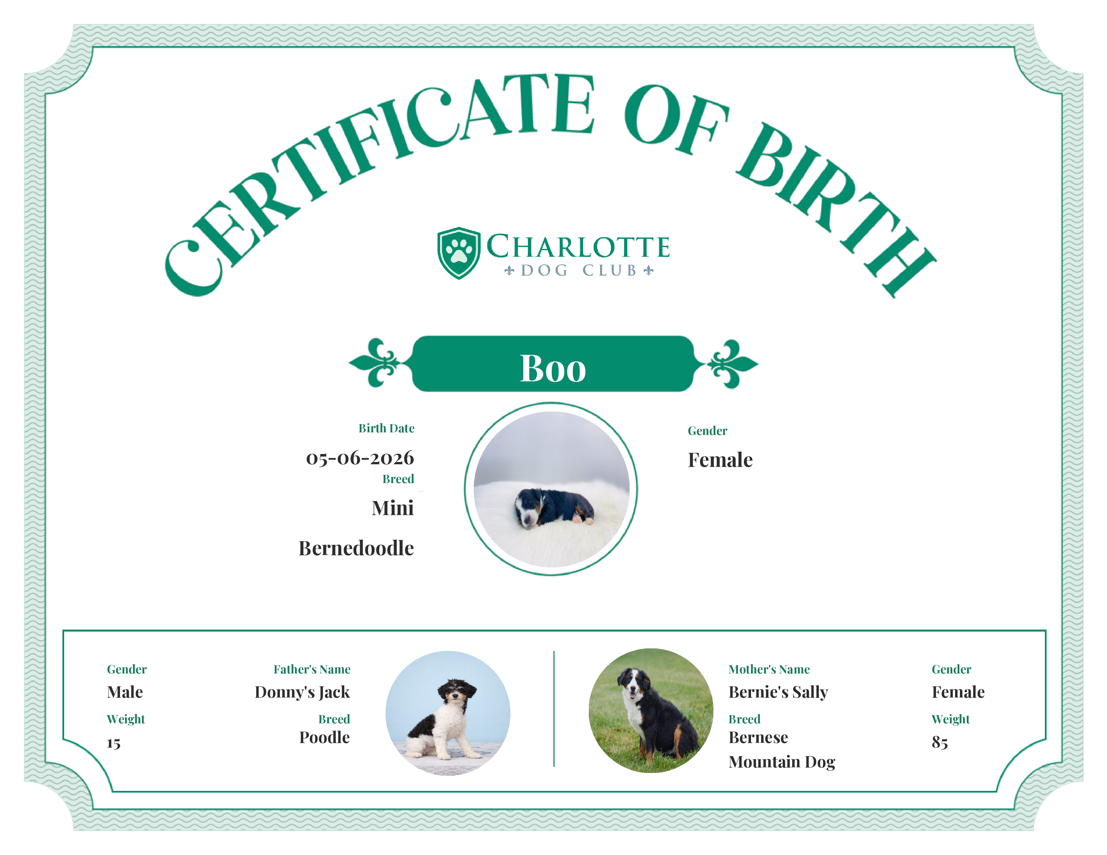 Boo's Birth Certificate