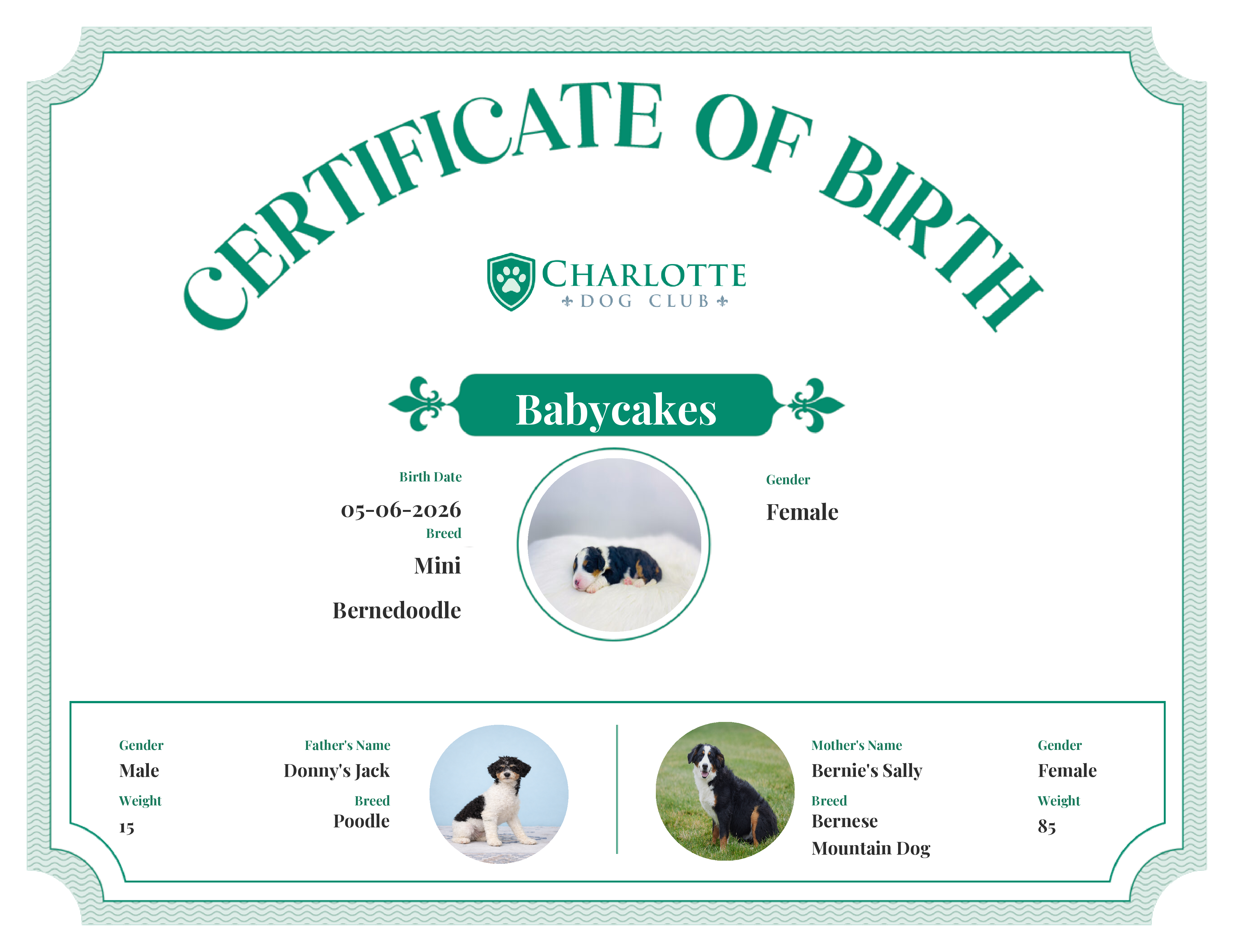 Babycakes's Birth Certificate