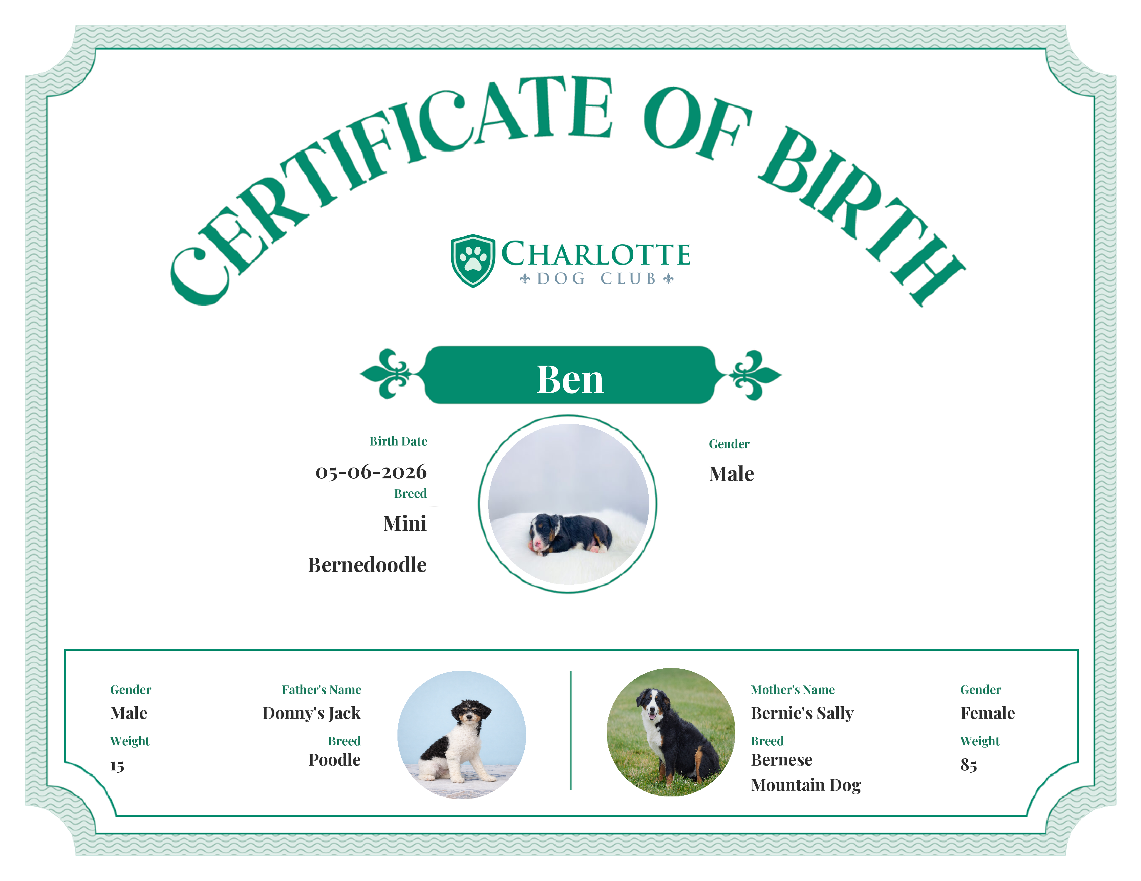 Ben's Birth Certificate