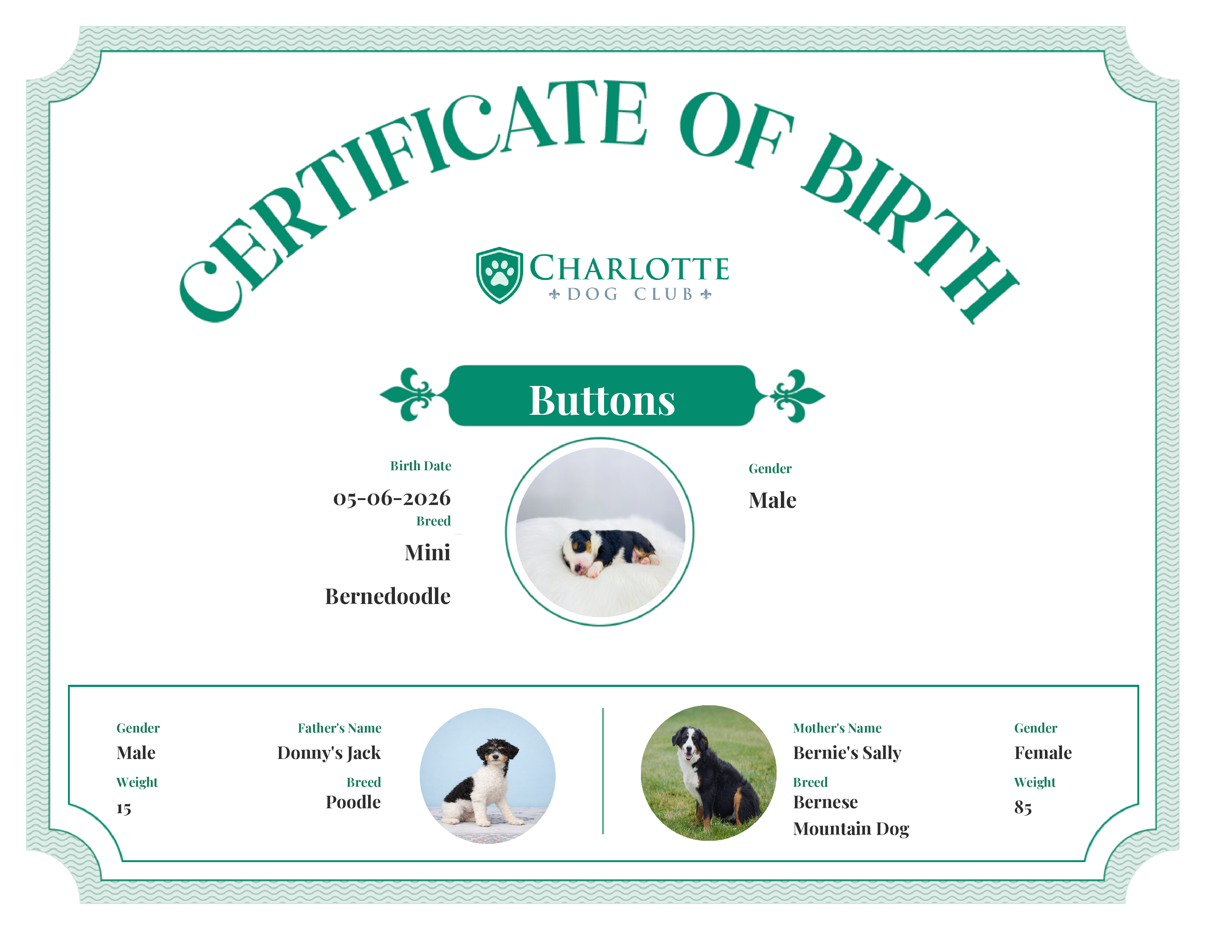 Buttons's Birth Certificate