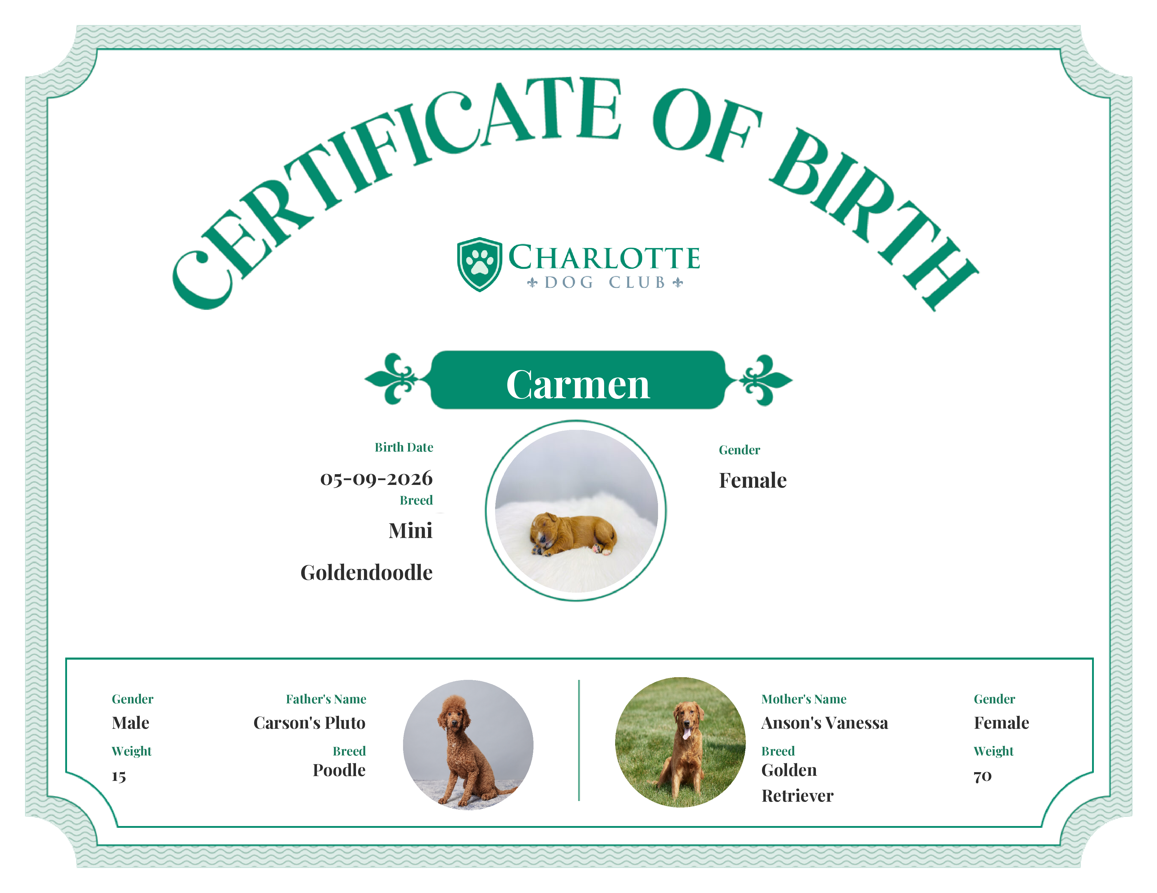 Carmen's Birth Certificate