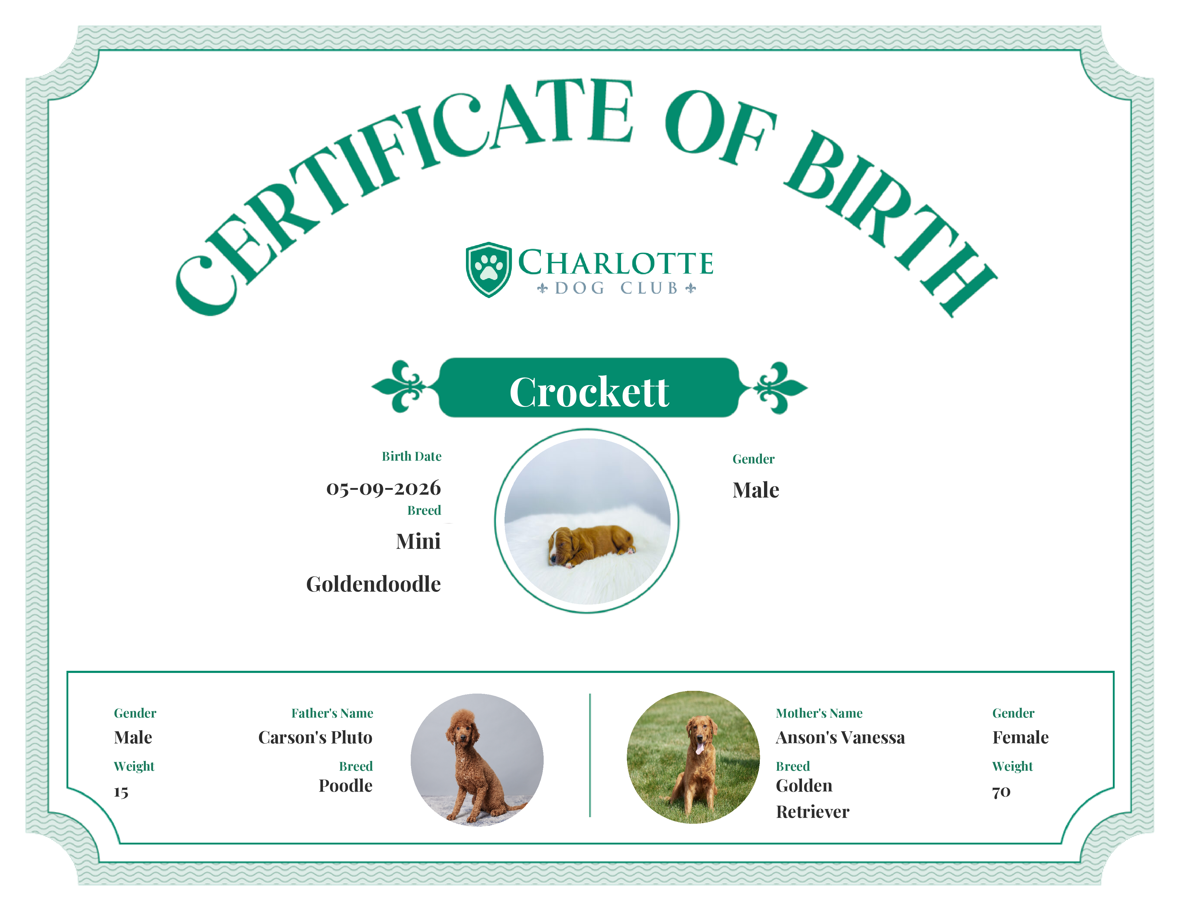 Crockett's Birth Certificate
