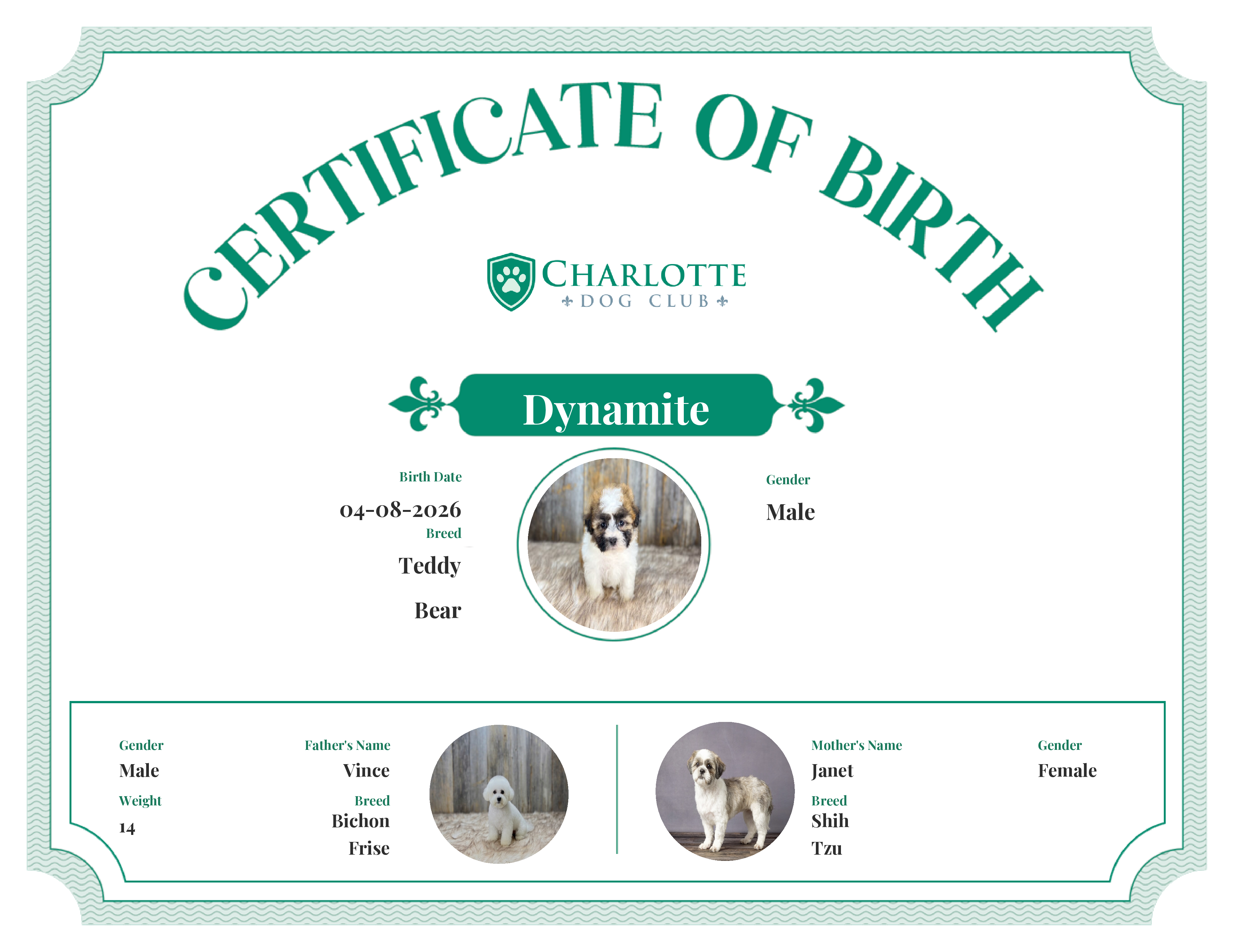 Dynamite's Birth Certificate