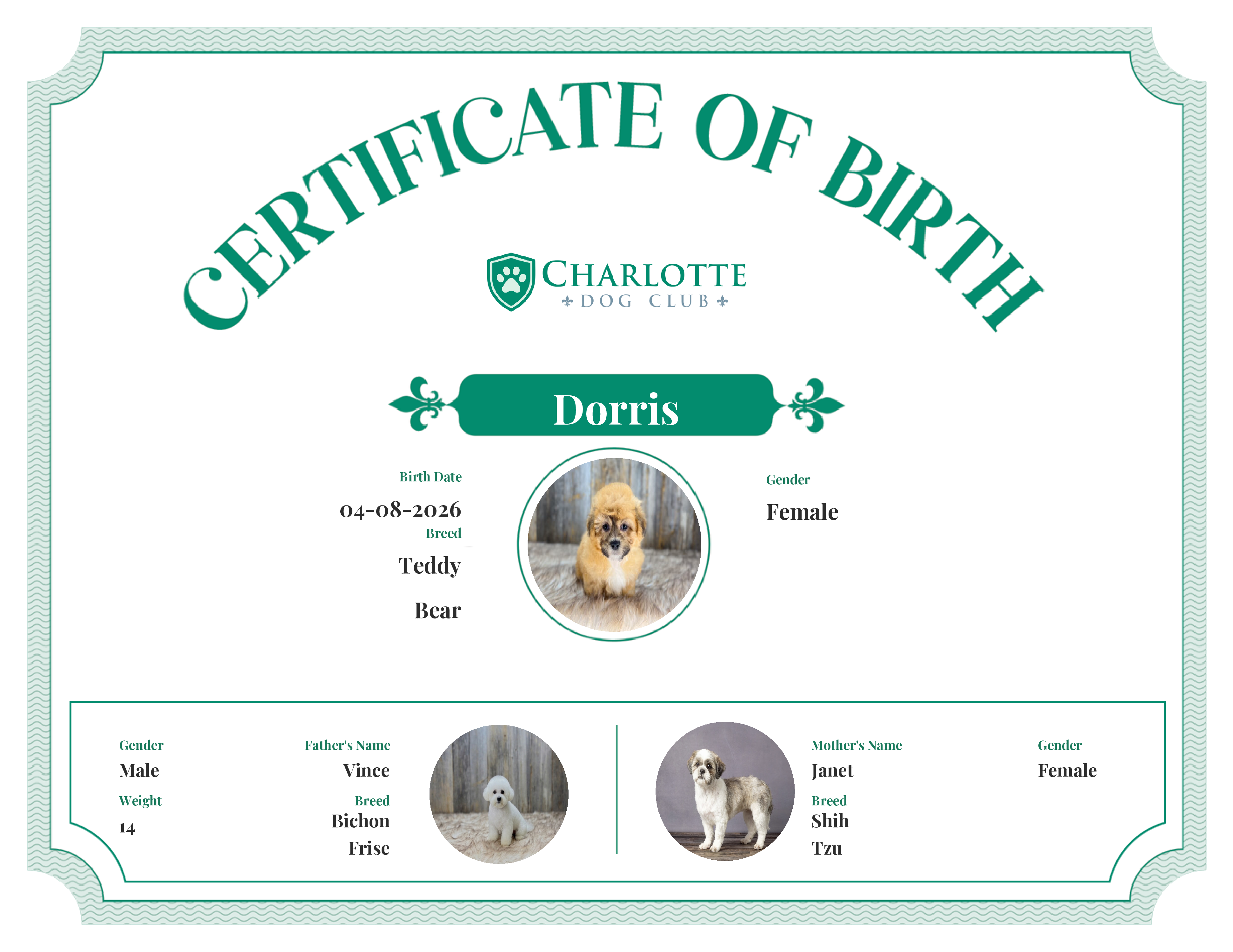 Dorris's Birth Certificate