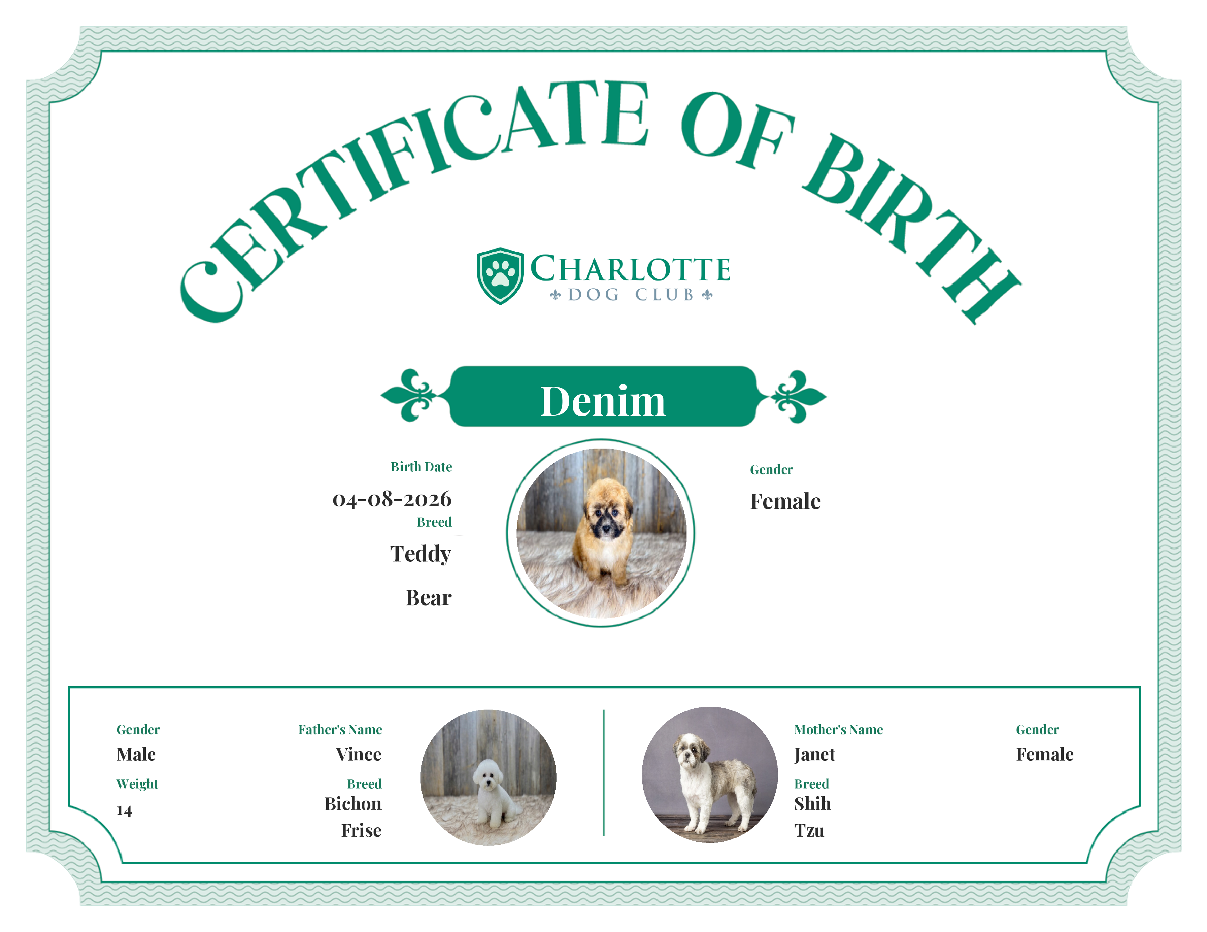 Denim's Birth Certificate