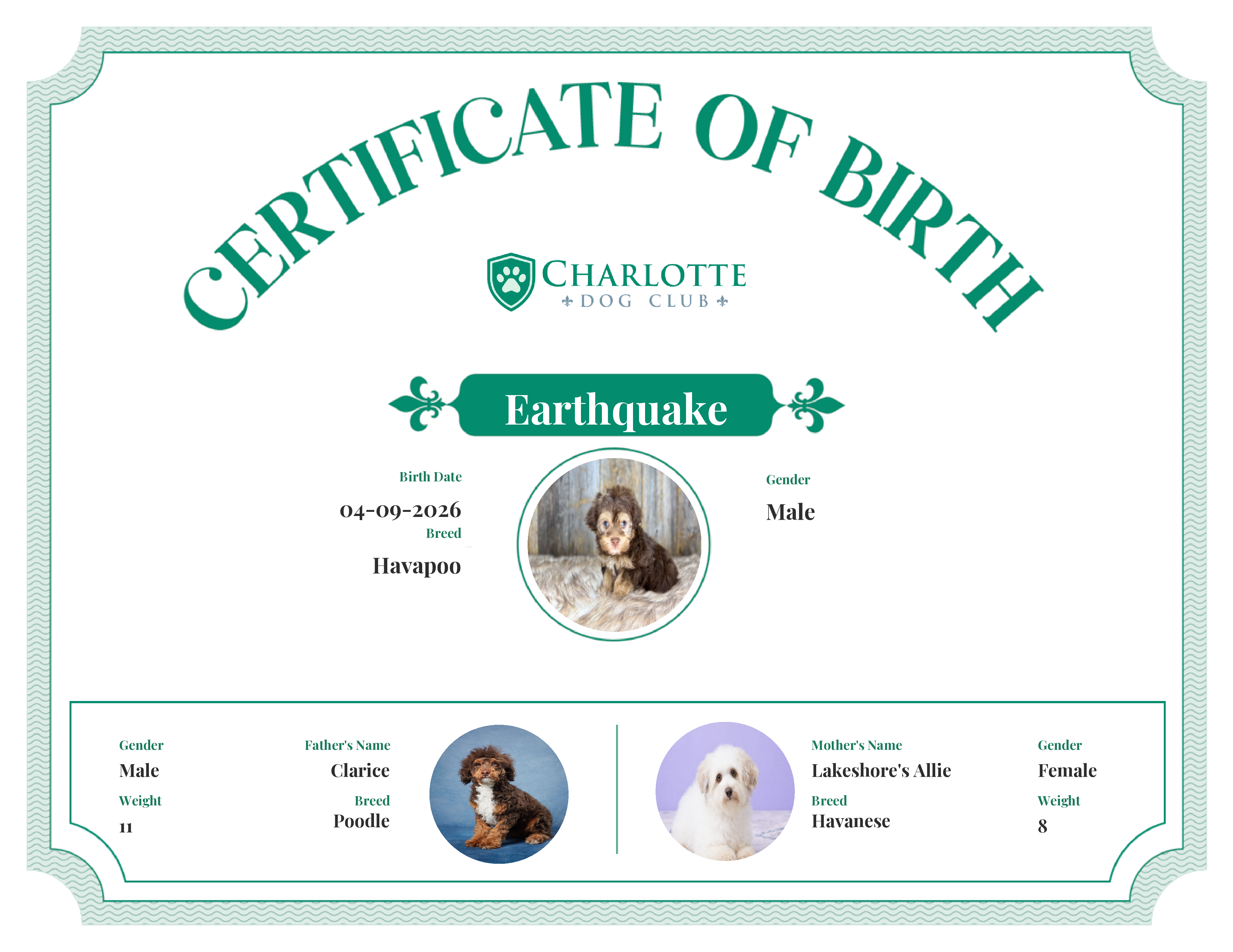 Earthquake's Birth Certificate