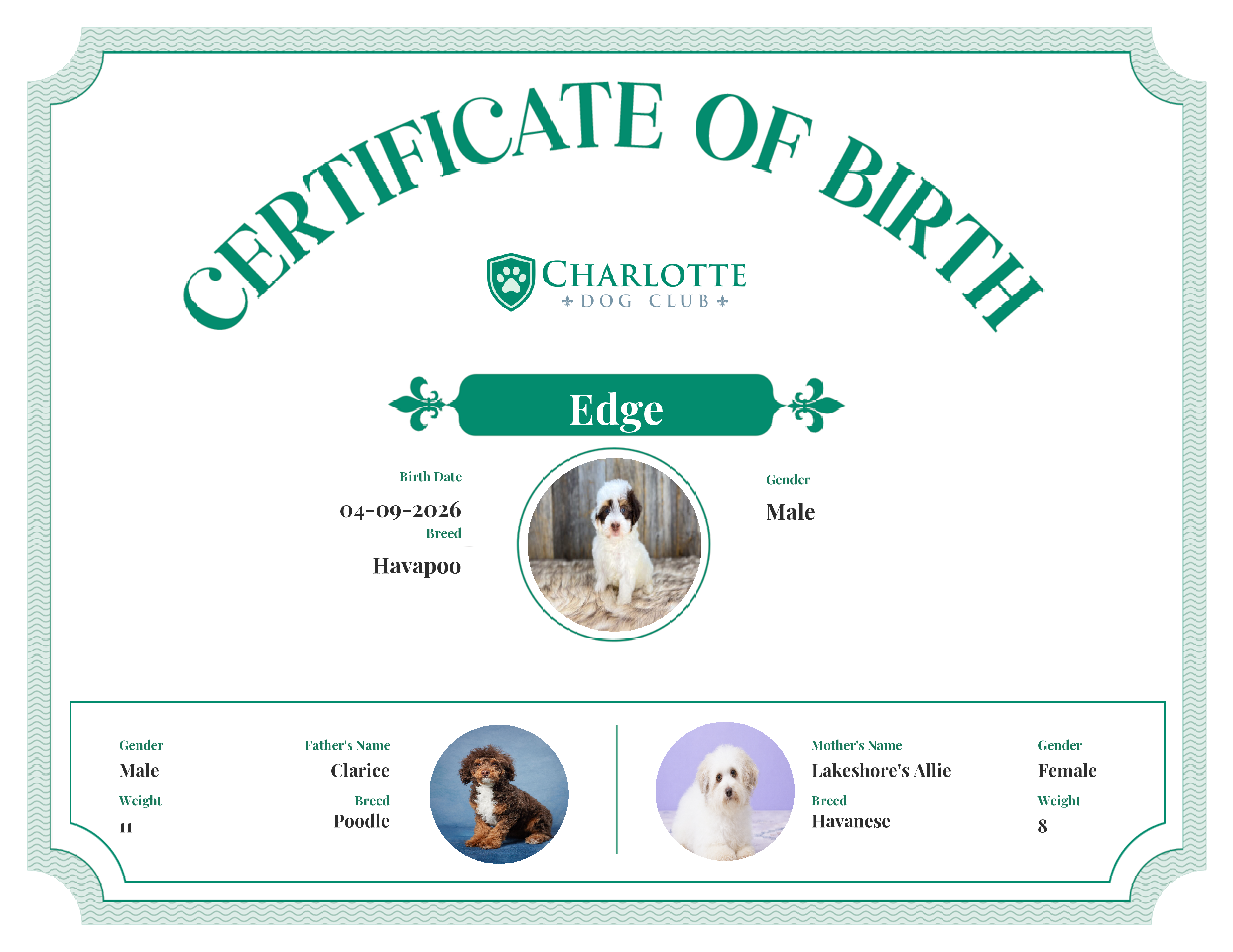 Edge's Birth Certificate