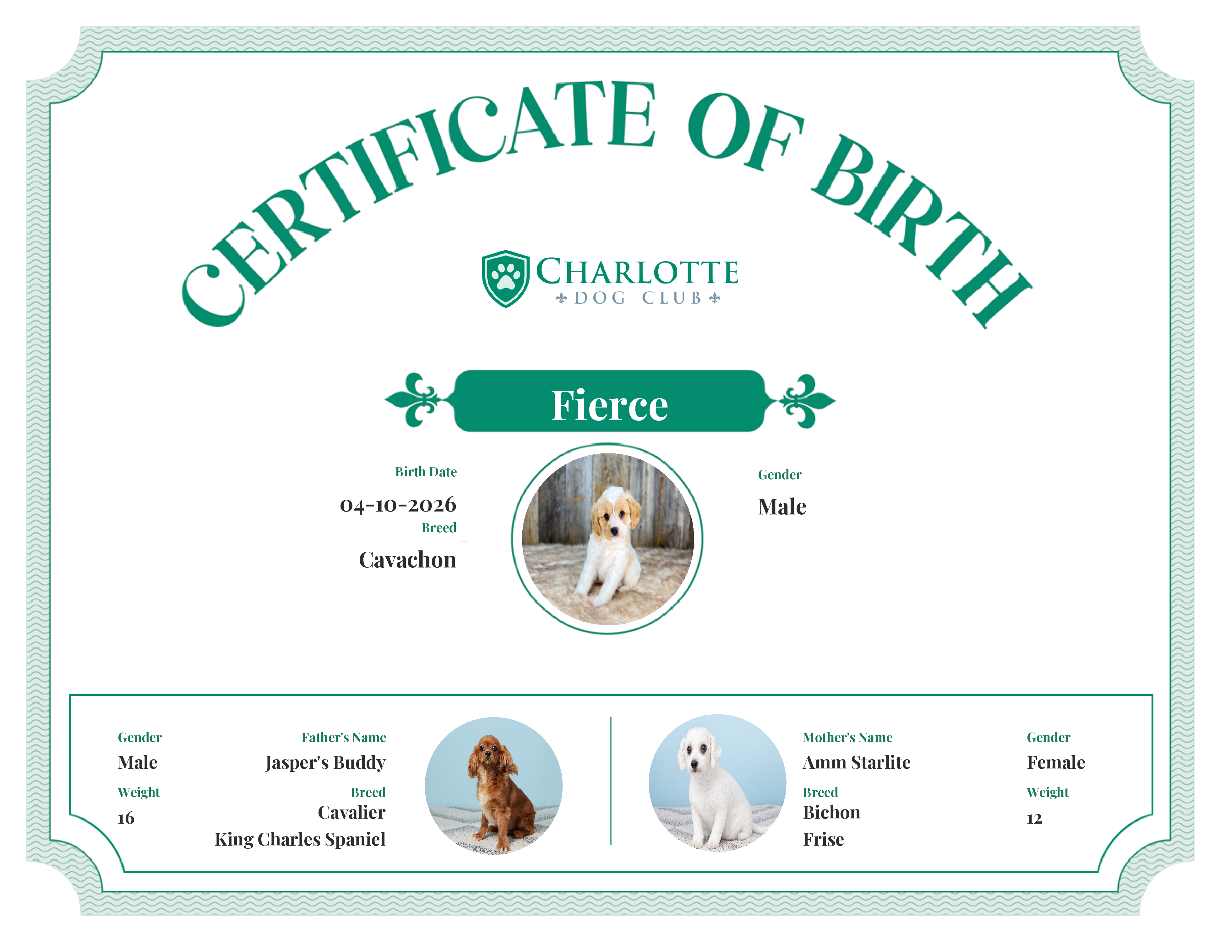 Fierce's Birth Certificate